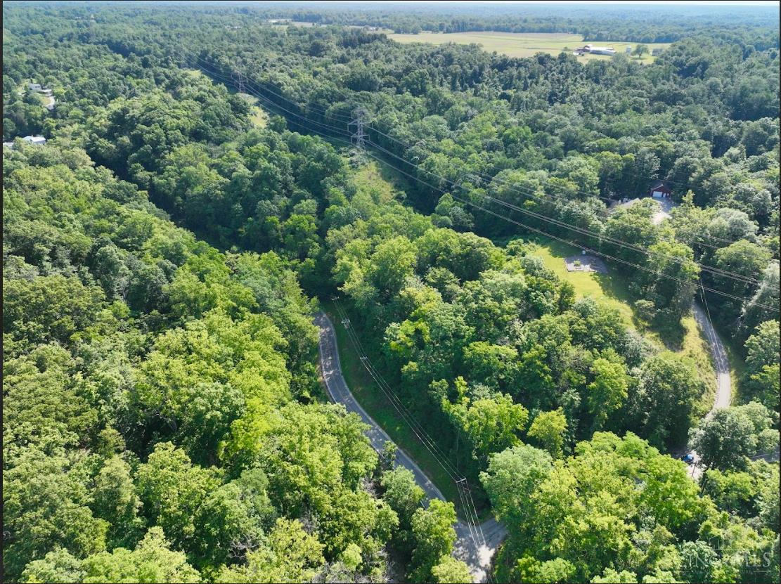 ac Dry Run Road, Stonelick Twp, OH, 45150 — photo 4