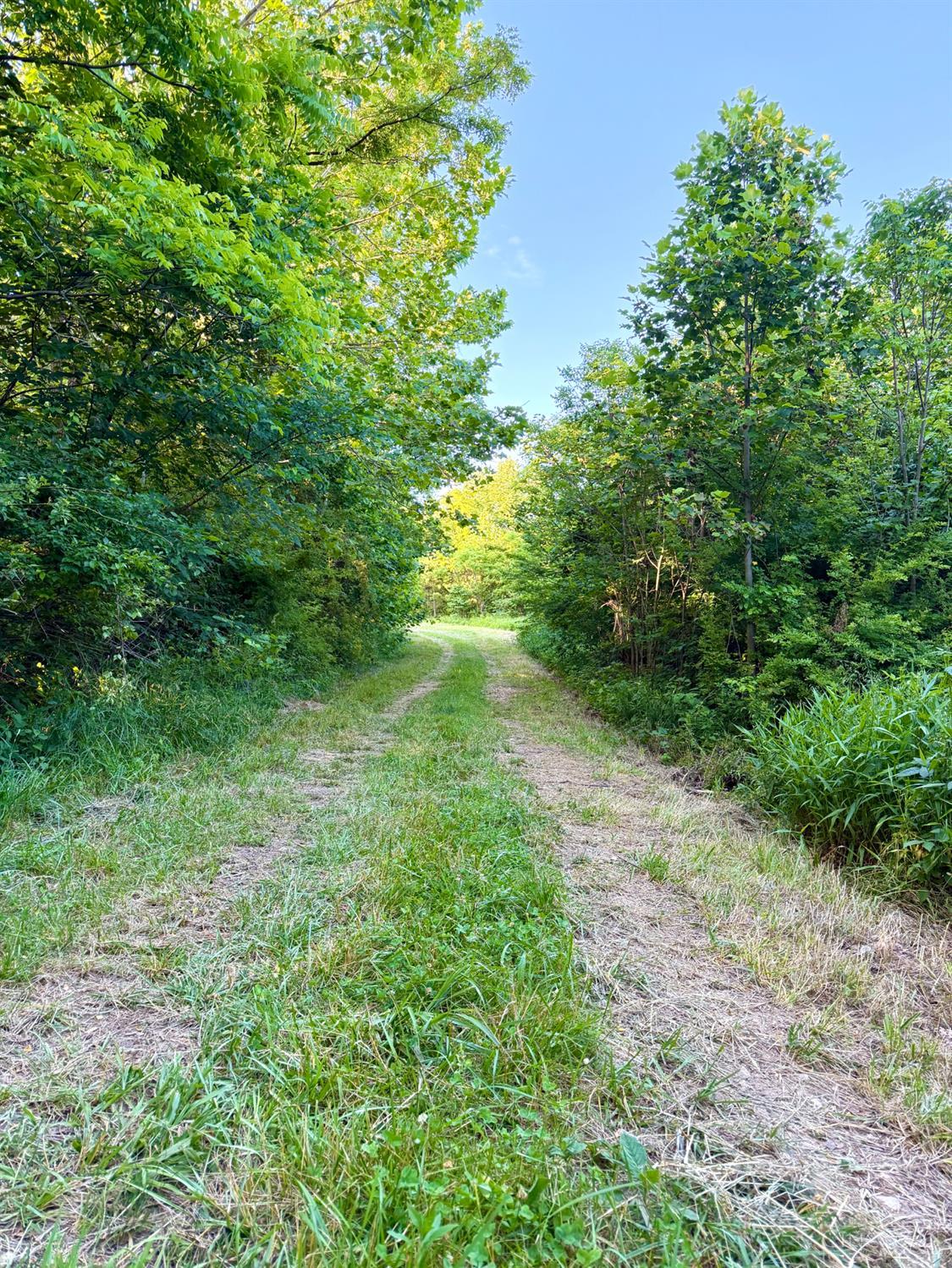 Falls Road, Paint Twp, OH, 45612 — photo 60