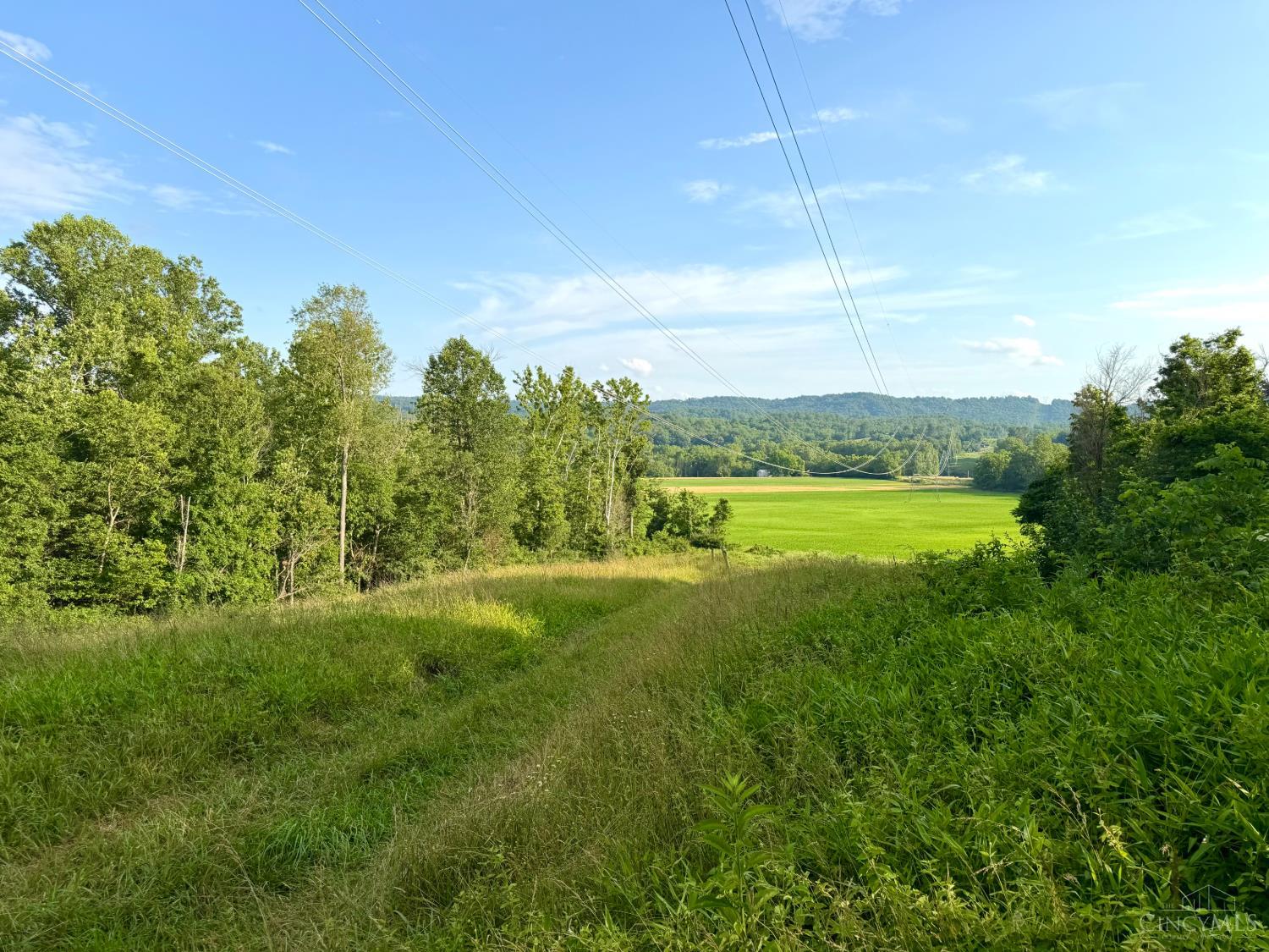 Falls Road, Paint Twp, OH, 45612 — photo 80