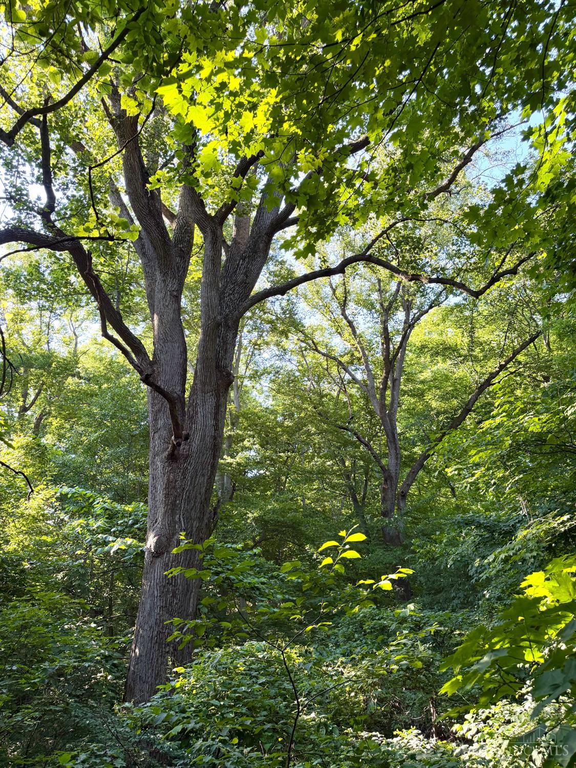Falls Road, Paint Twp, OH, 45612 — photo 45