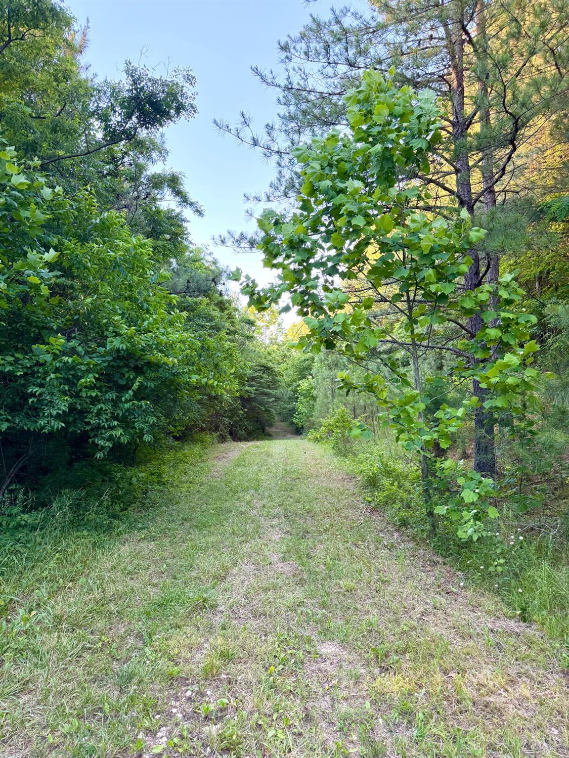 Falls Road, Paint Twp, OH, 45612 — photo 65