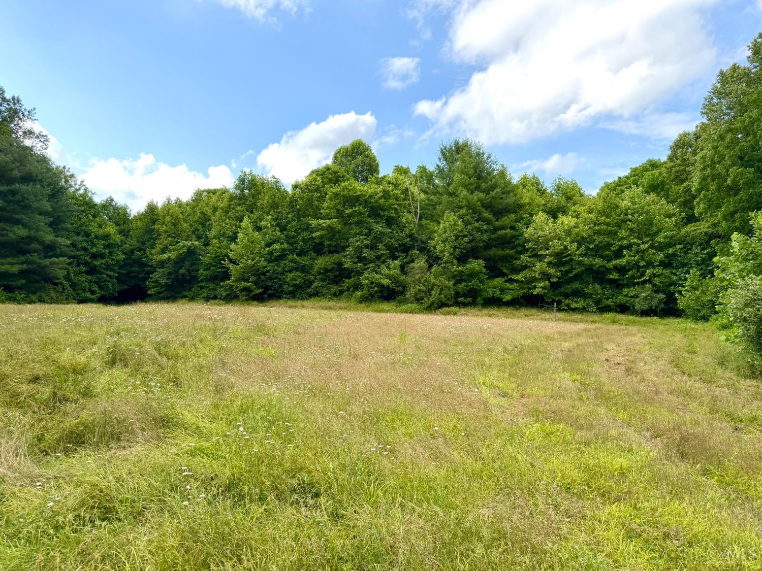 Falls Road, Paint Twp, OH, 45612 — photo 78