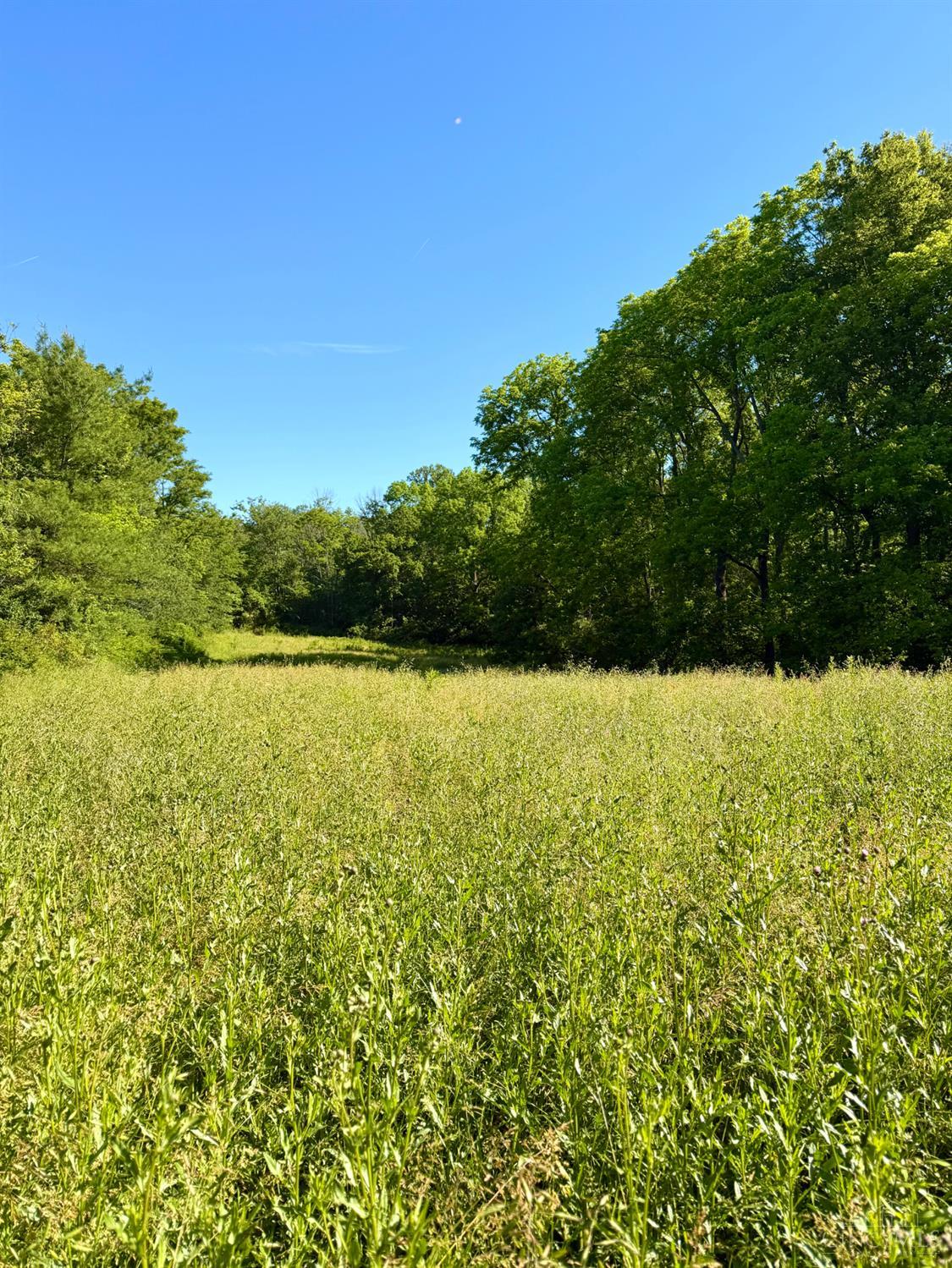 Falls Road, Paint Twp, OH, 45612 — photo 30