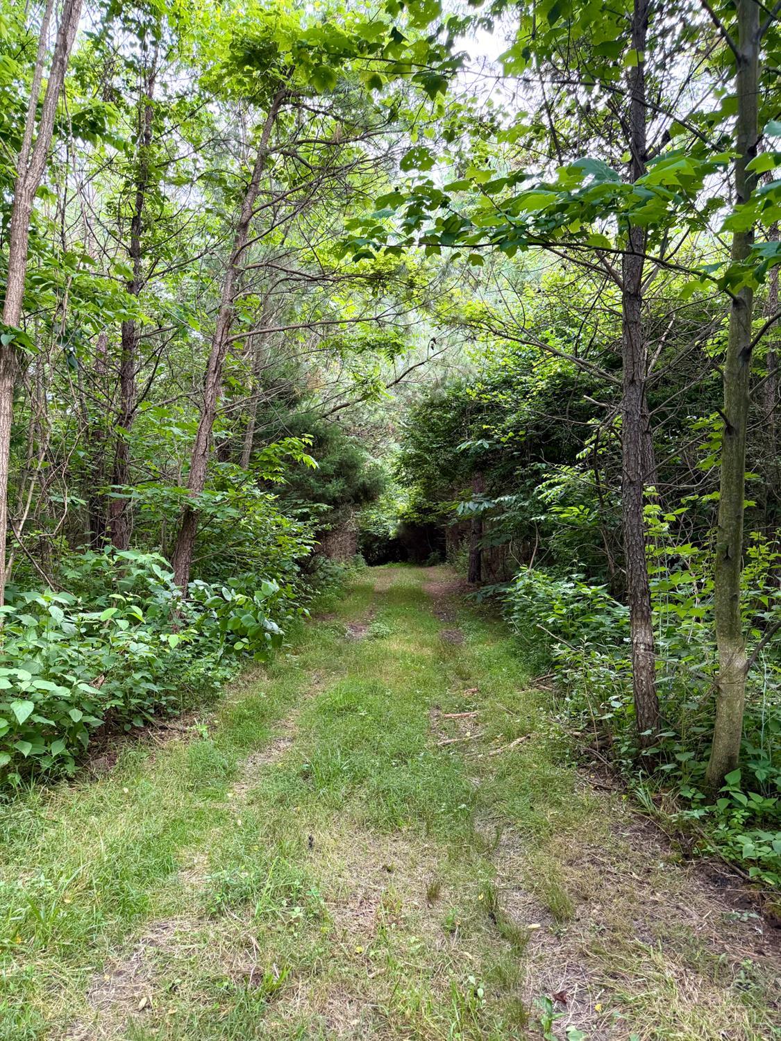 Falls Road, Paint Twp, OH, 45612 — photo 74