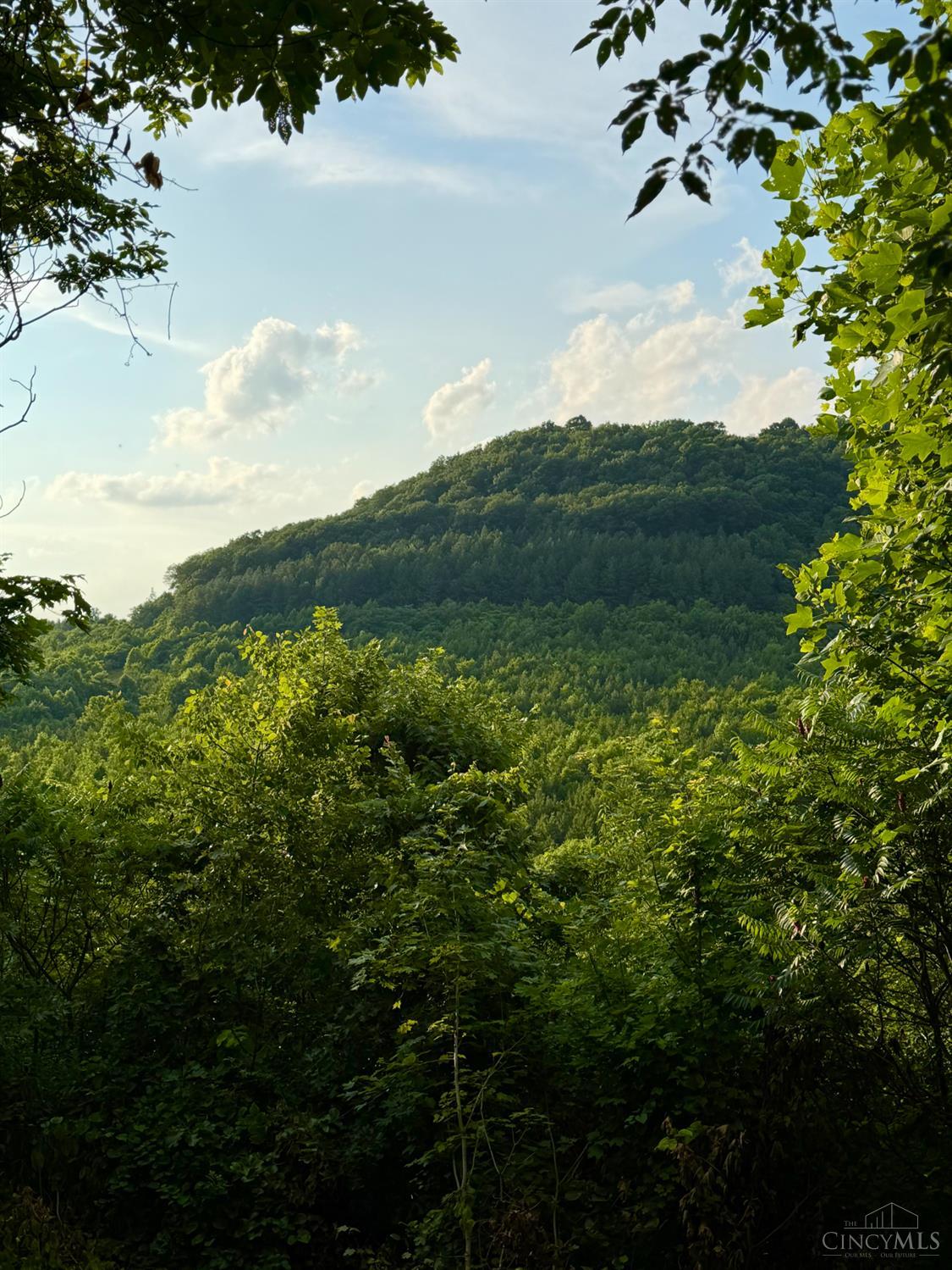 Falls Road, Paint Twp, OH, 45612 — photo 18