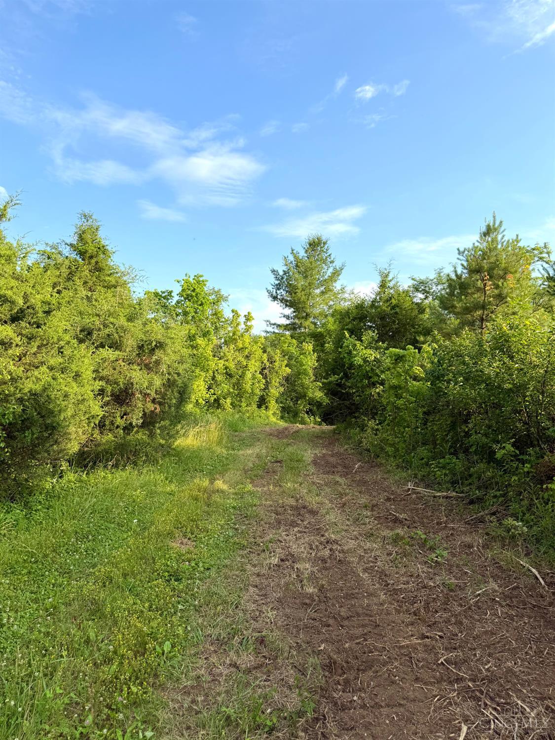 Falls Road, Paint Twp, OH, 45612 — photo 85