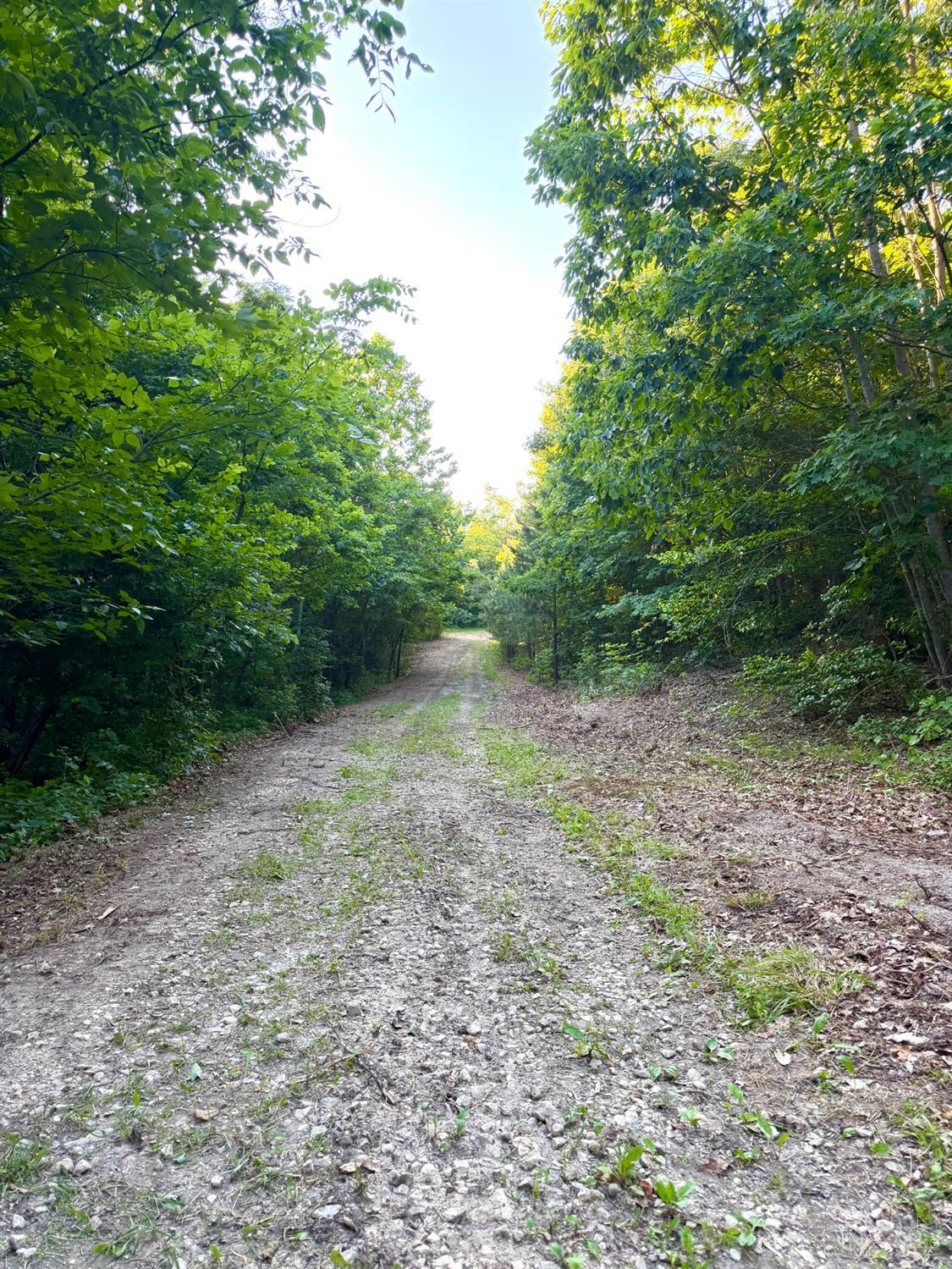 Falls Road, Paint Twp, OH, 45612 — photo 64