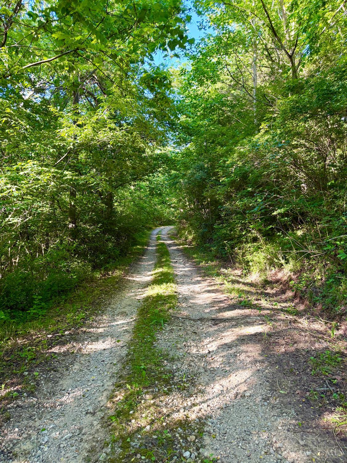 Falls Road, Paint Twp, OH, 45612 — photo 44