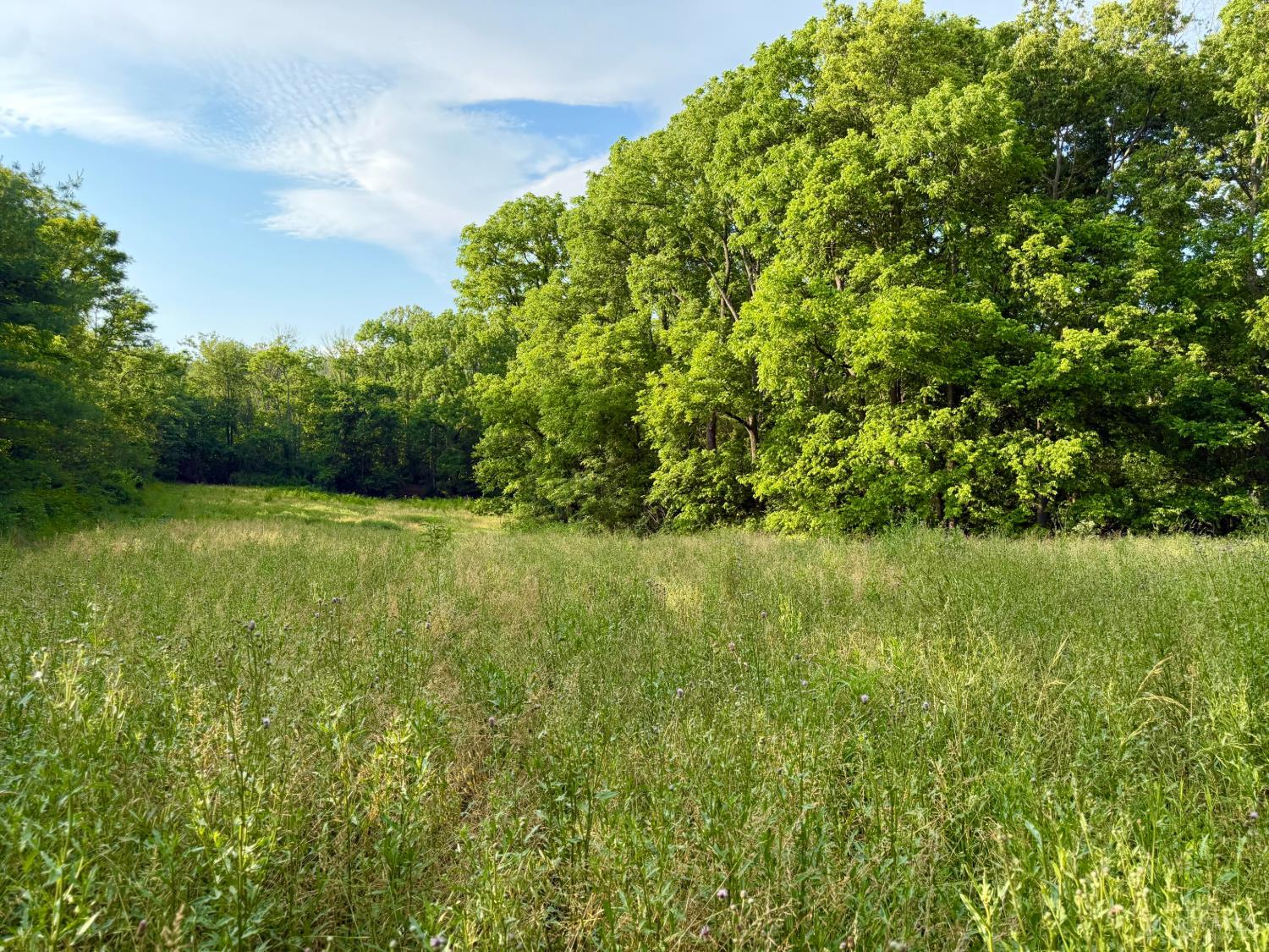 Falls Road, Paint Twp, OH, 45612 — photo 82