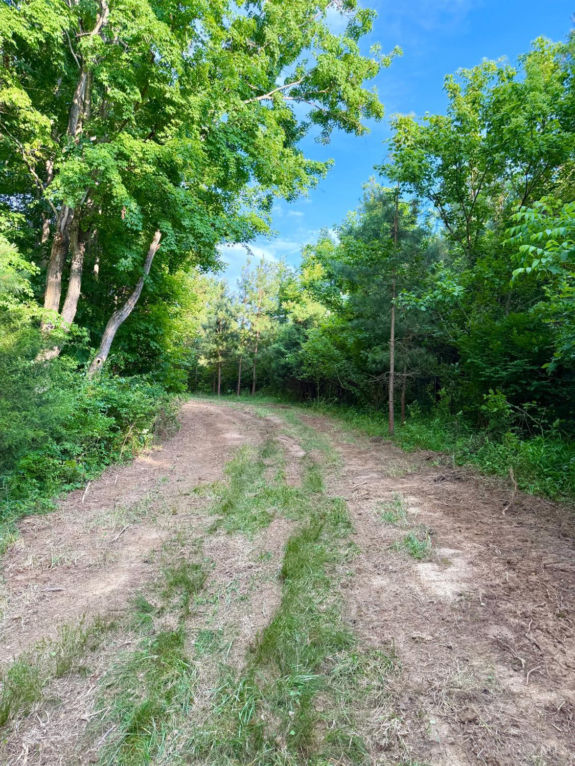 Falls Road, Paint Twp, OH, 45612 — photo 83