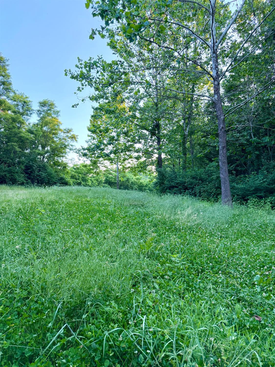 Falls Road, Paint Twp, OH, 45612 — photo 69