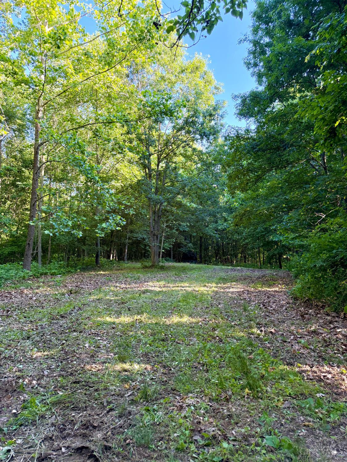 Falls Road, Paint Twp, OH, 45612 — photo 27