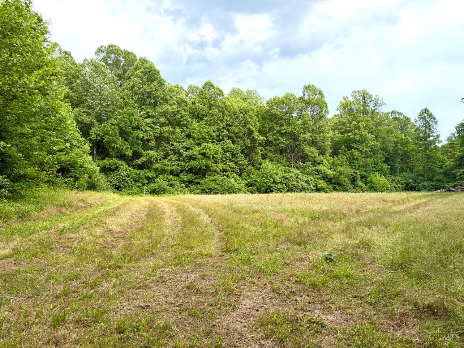 Falls Road, Paint Twp, OH, 45612 — photo 75