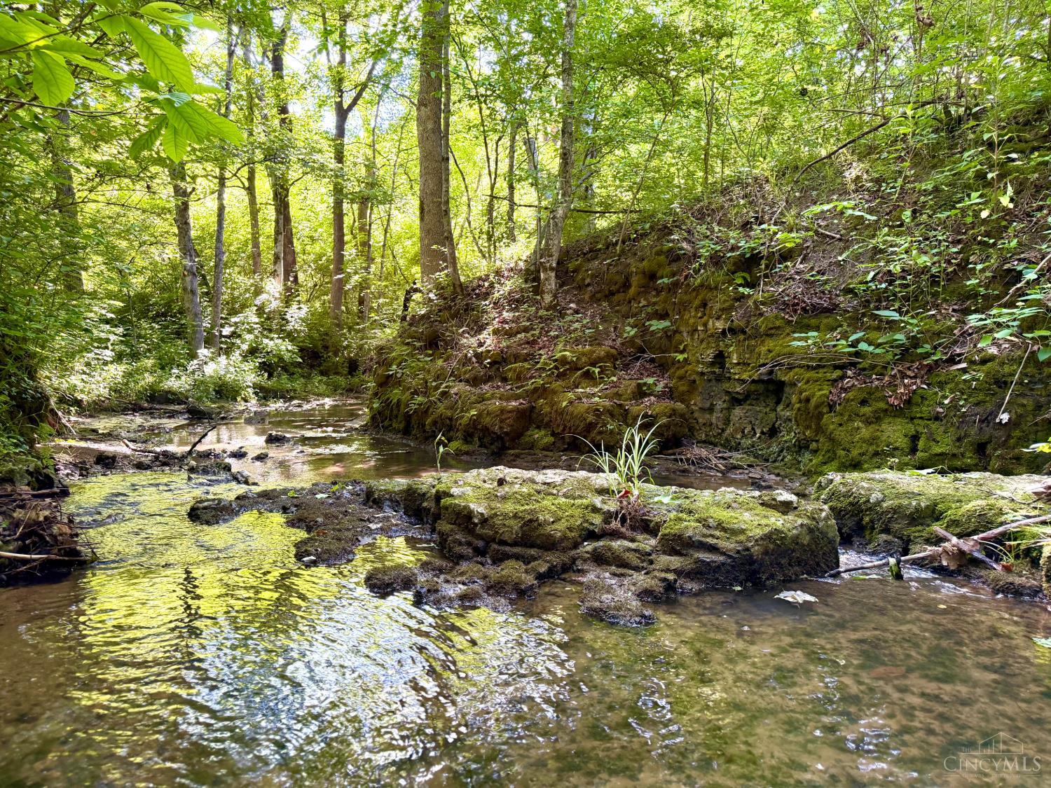 Falls Road, Paint Twp, OH, 45612 — photo 6