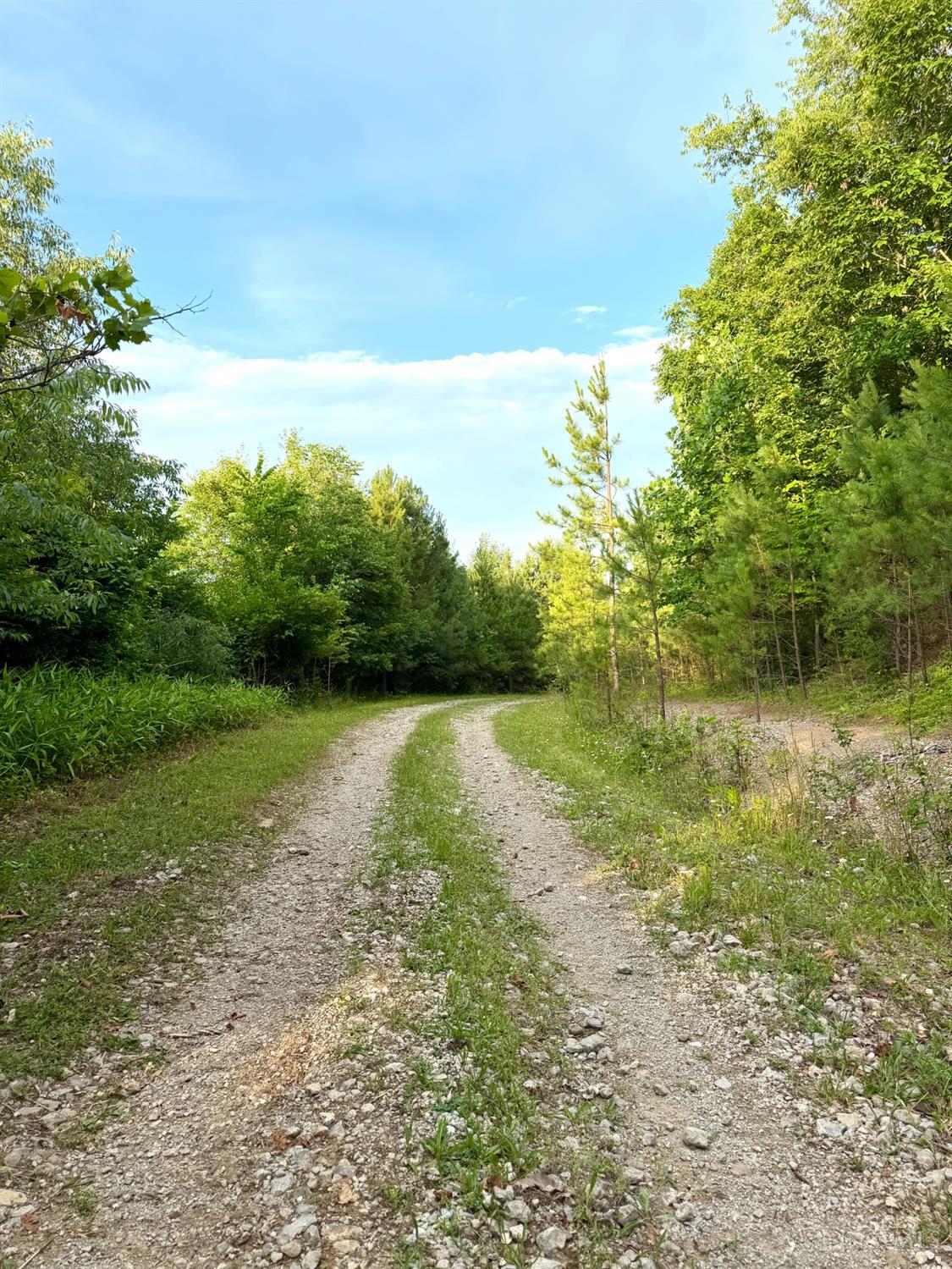 Falls Road, Paint Twp, OH, 45612 — photo 90