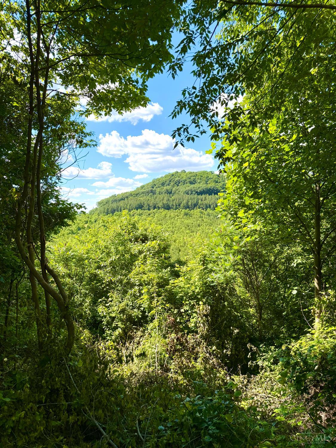 Falls Road, Paint Twp, OH, 45612 — photo 21