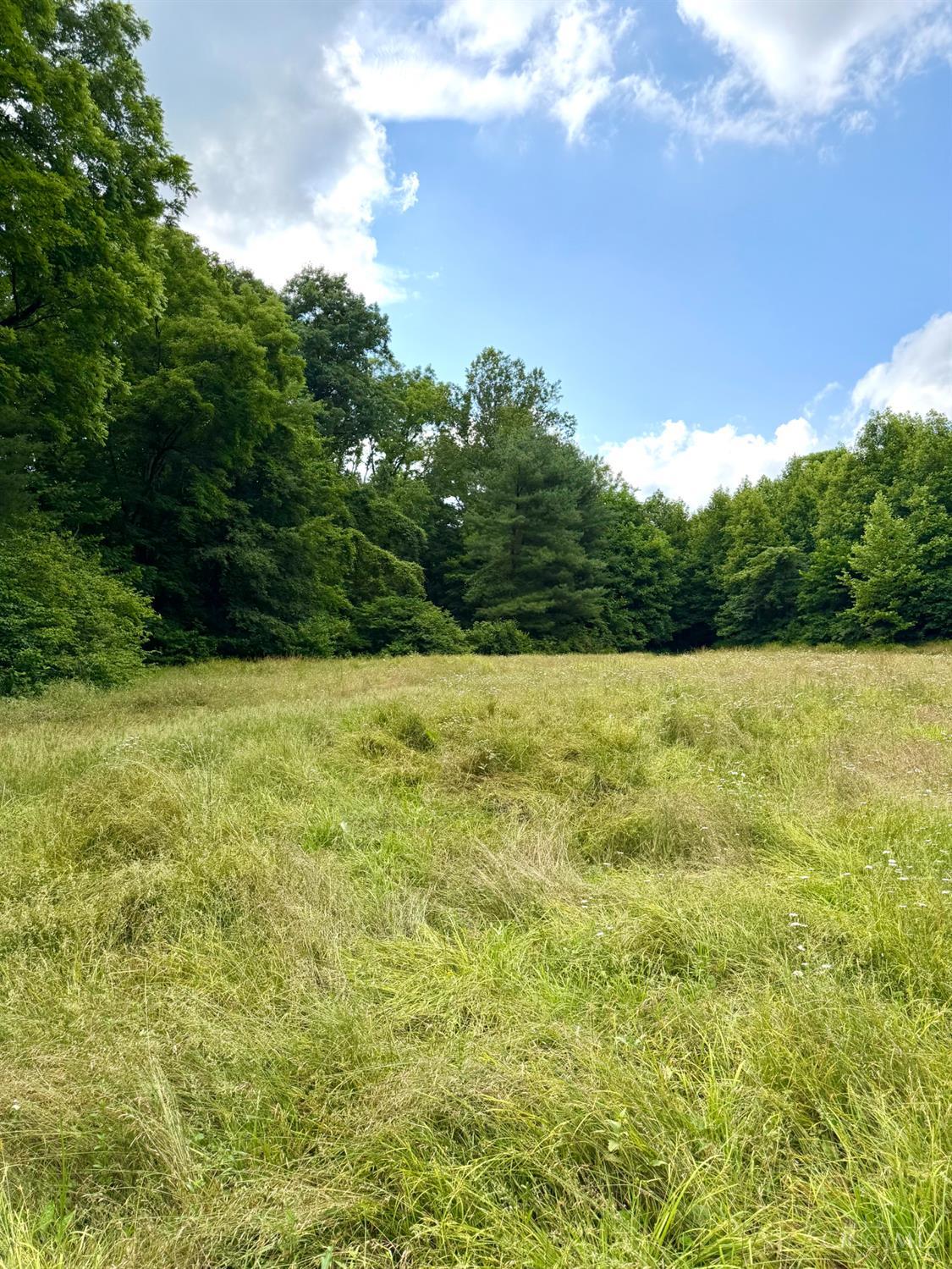 Falls Road, Paint Twp, OH, 45612 — photo 76