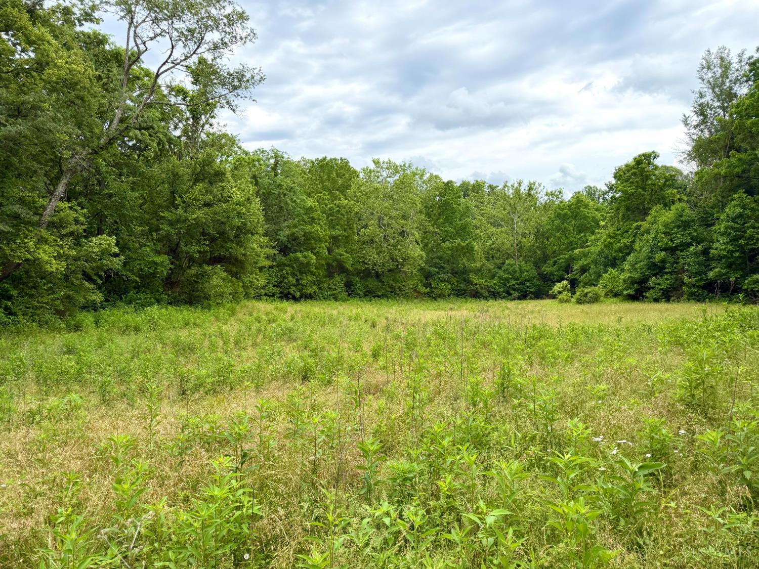 Falls Road, Paint Twp, OH, 45612 — photo 14