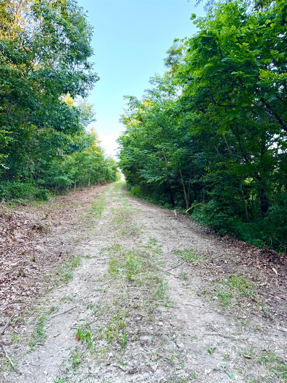 Falls Road, Paint Twp, OH, 45612 — photo 68