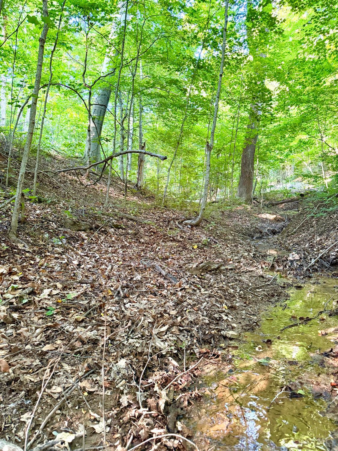 Falls Road, Paint Twp, OH, 45612 — photo 47