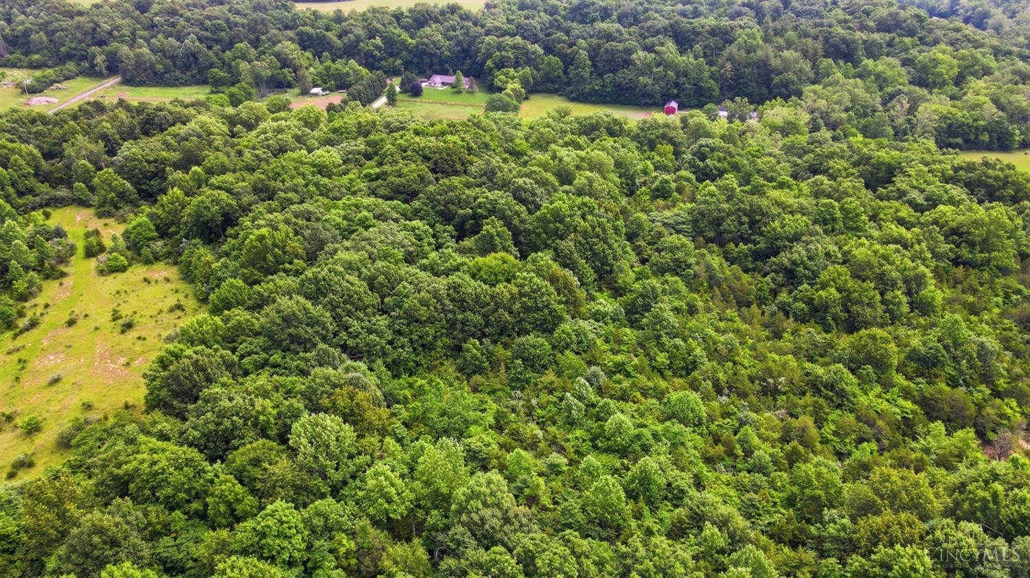 Hinkle Road #Lot 1, Madison Twp, OH, 45042 — photo 8