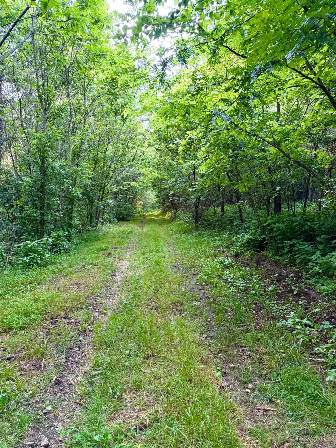 Falls Road, Paint Twp, OH, 45612 — photo 88