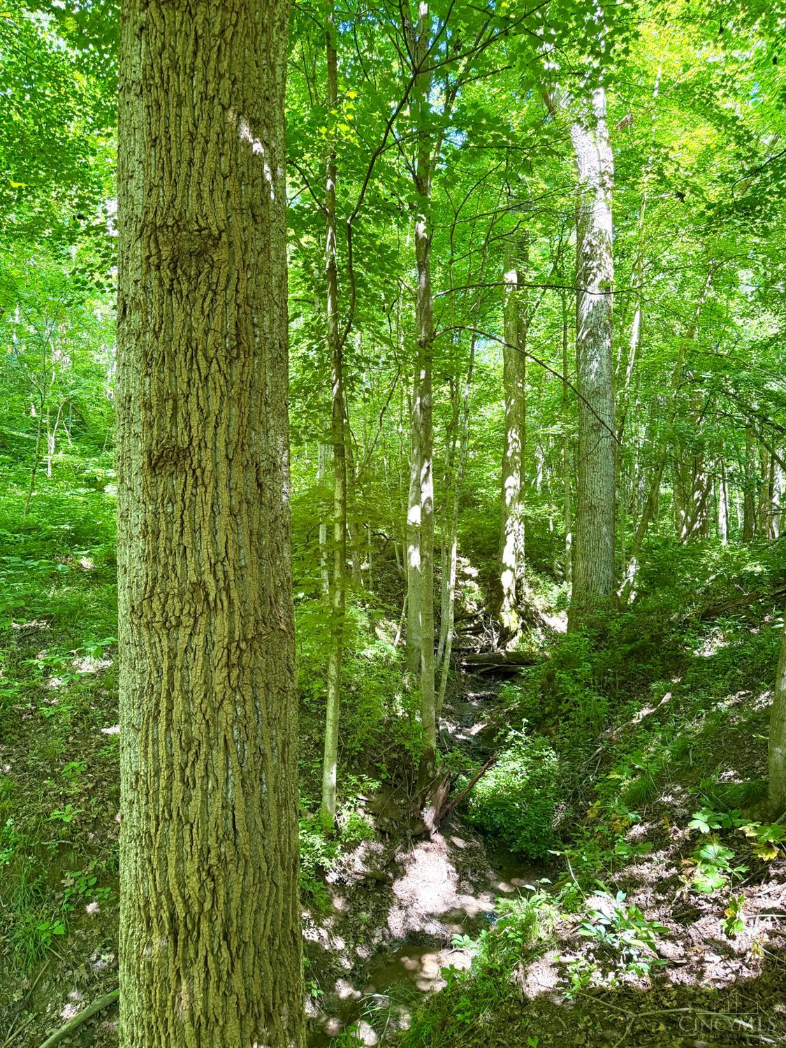 Falls Road, Paint Twp, OH, 45612 — photo 34