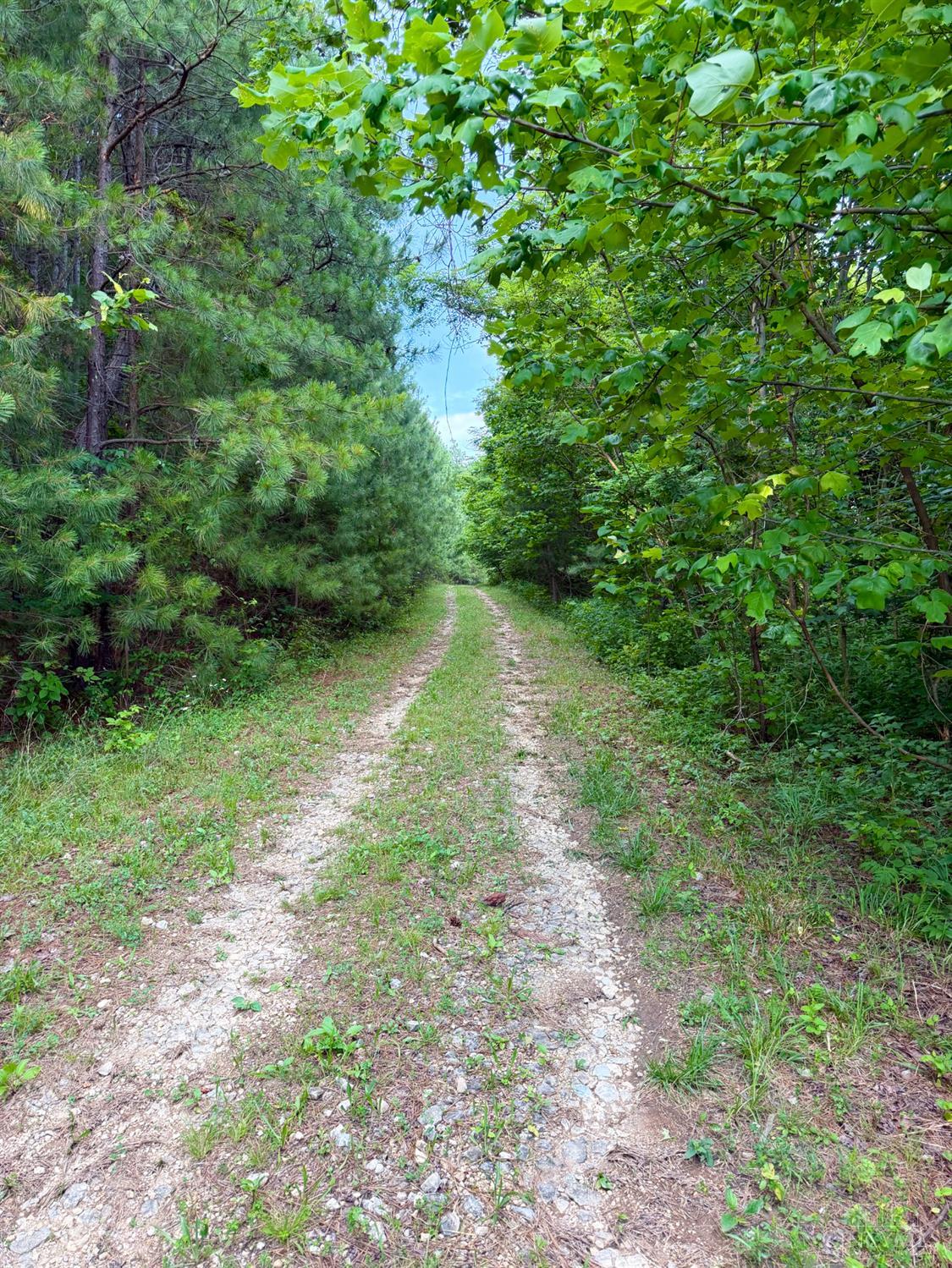 Falls Road, Paint Twp, OH, 45612 — photo 91