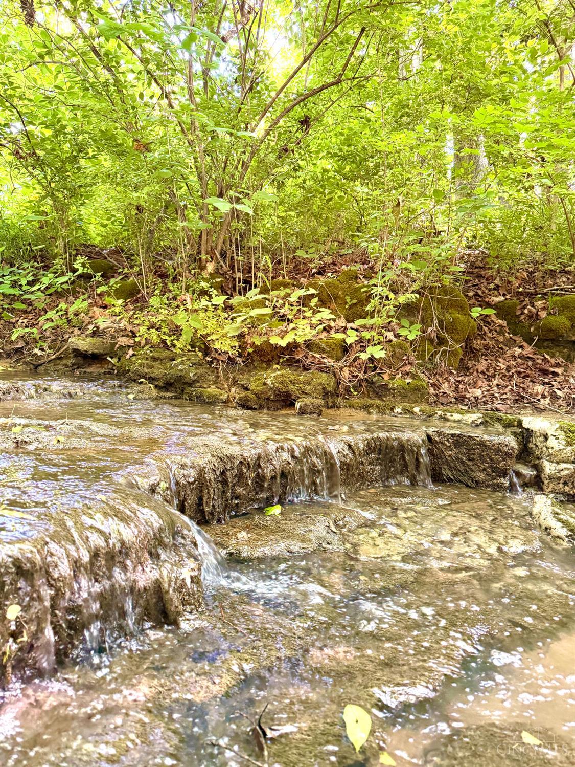 Falls Road, Paint Twp, OH, 45612 — photo 4