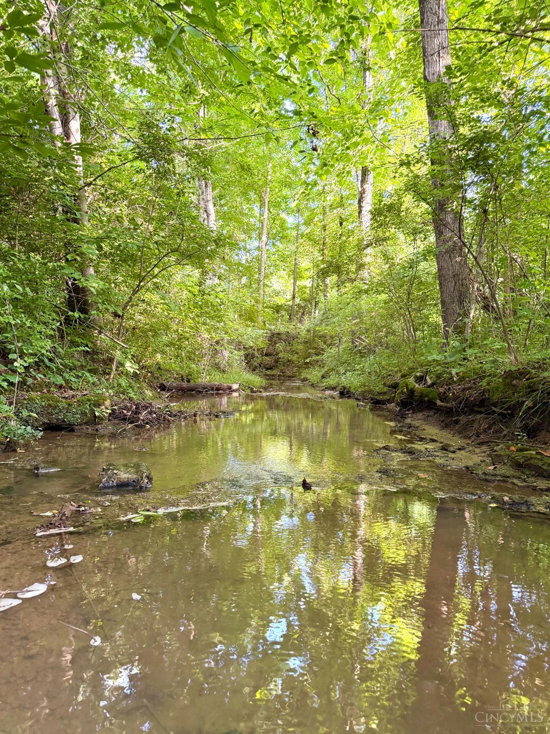 Falls Road, Paint Twp, OH, 45612 — photo 81