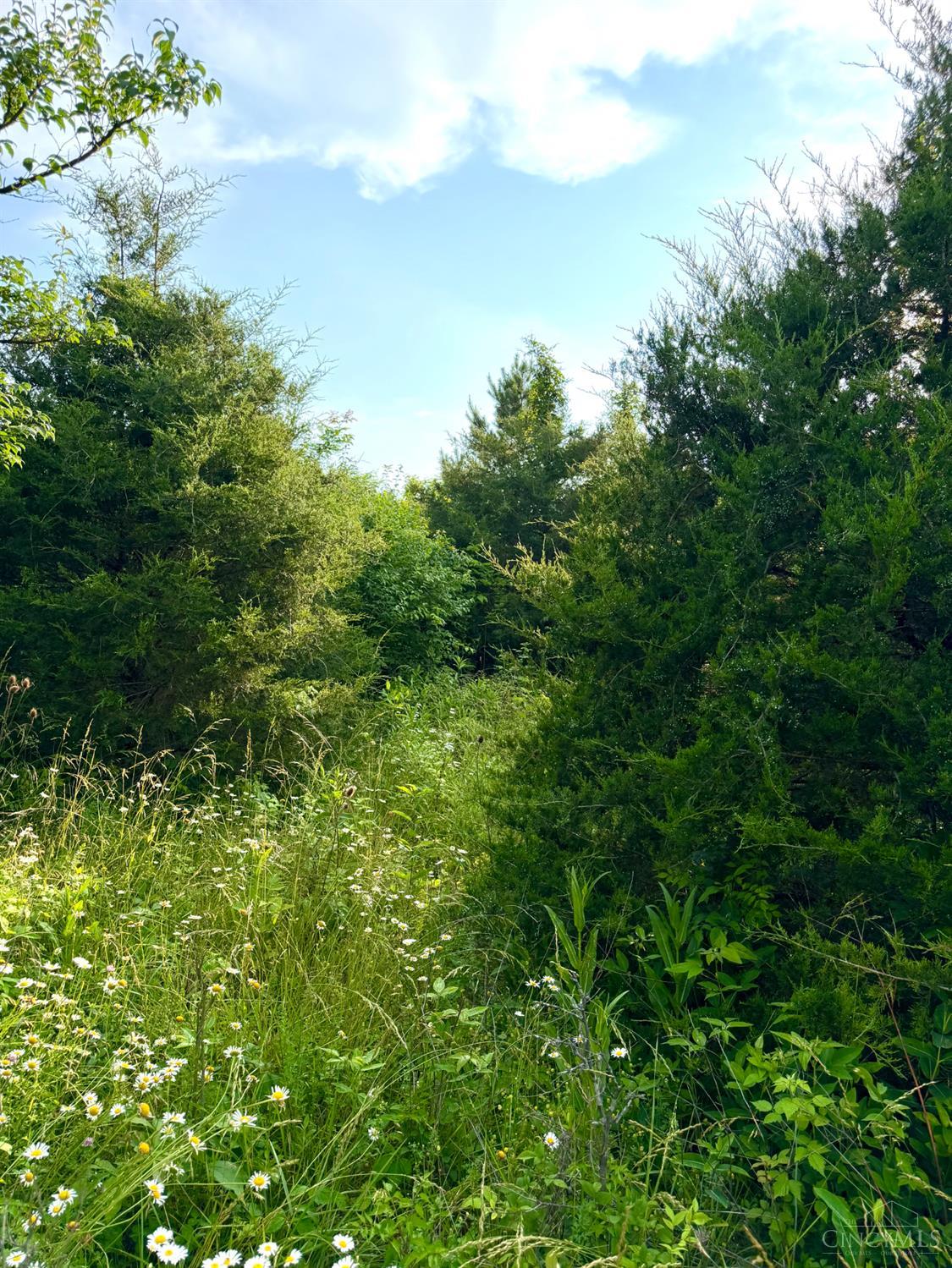 Falls Road, Paint Twp, OH, 45612 — photo 84