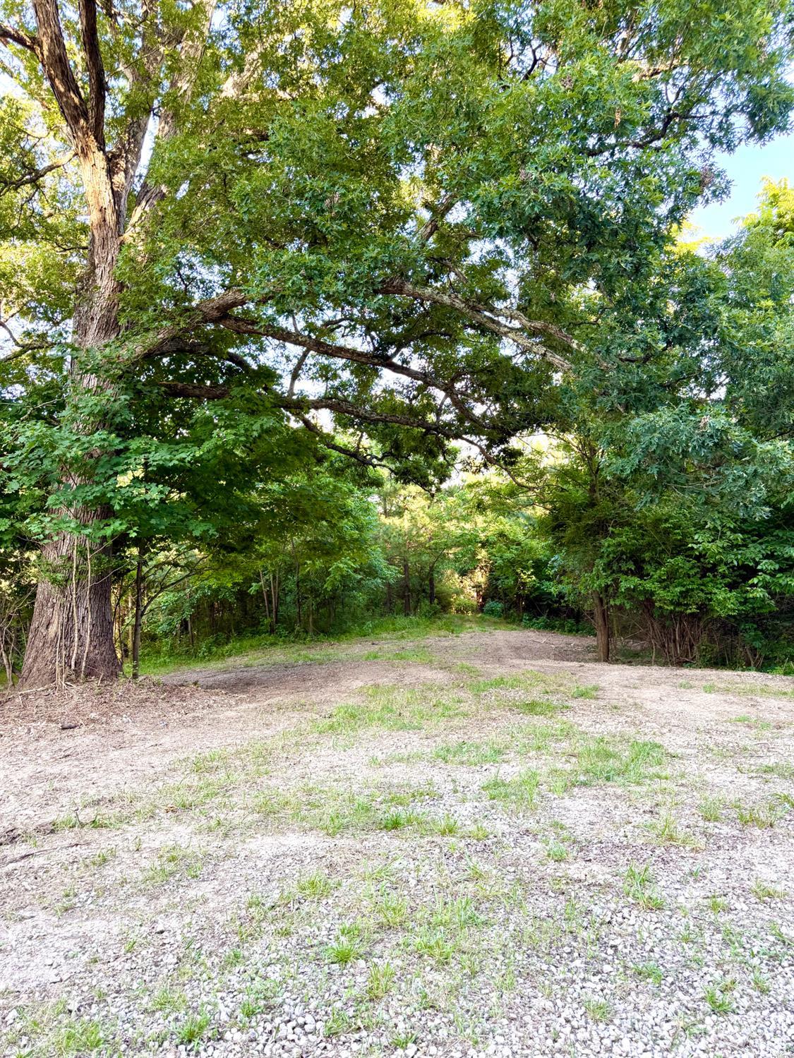 Falls Road, Paint Twp, OH, 45612 — photo 54