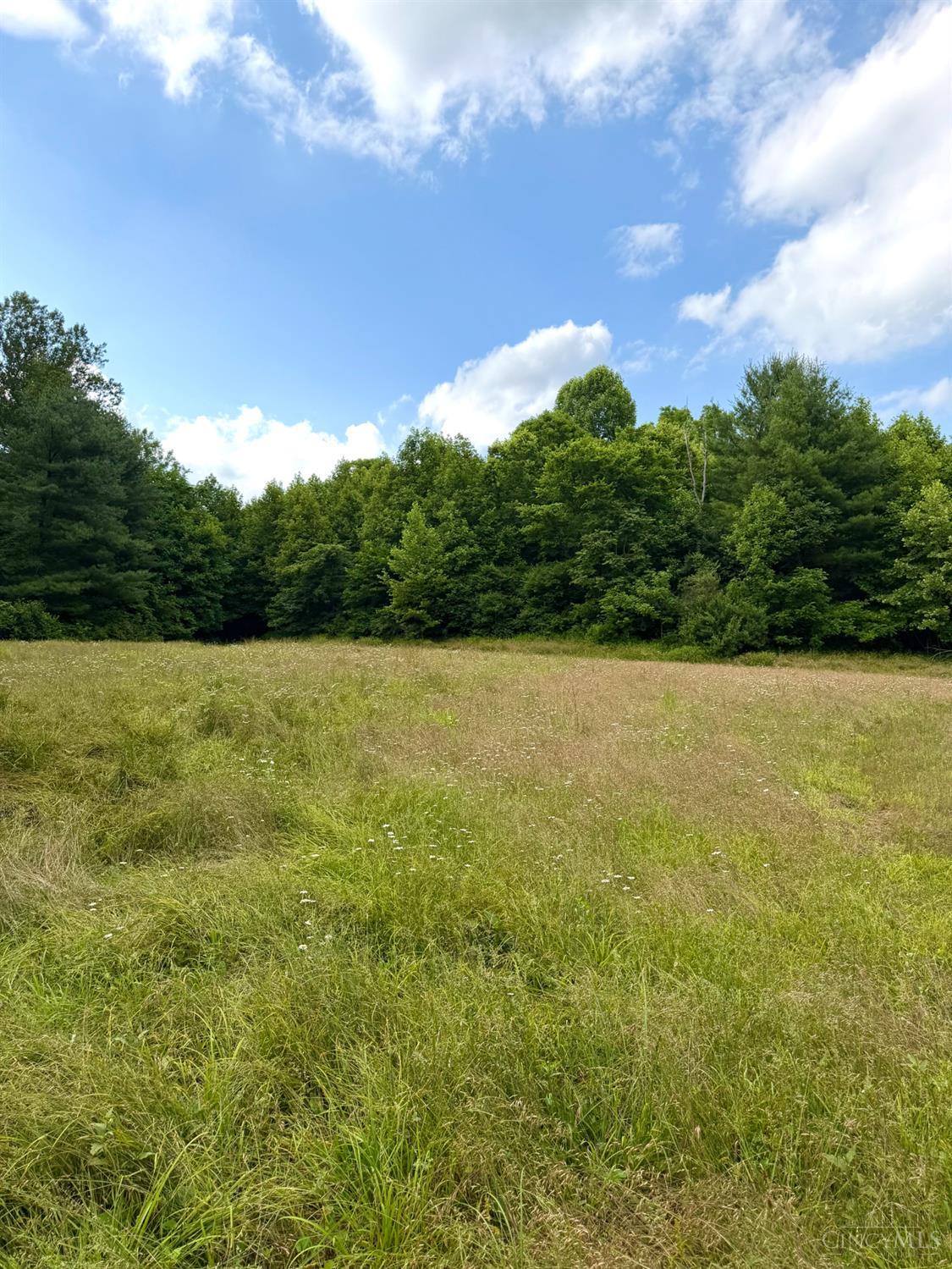 Falls Road, Paint Twp, OH, 45612 — photo 77
