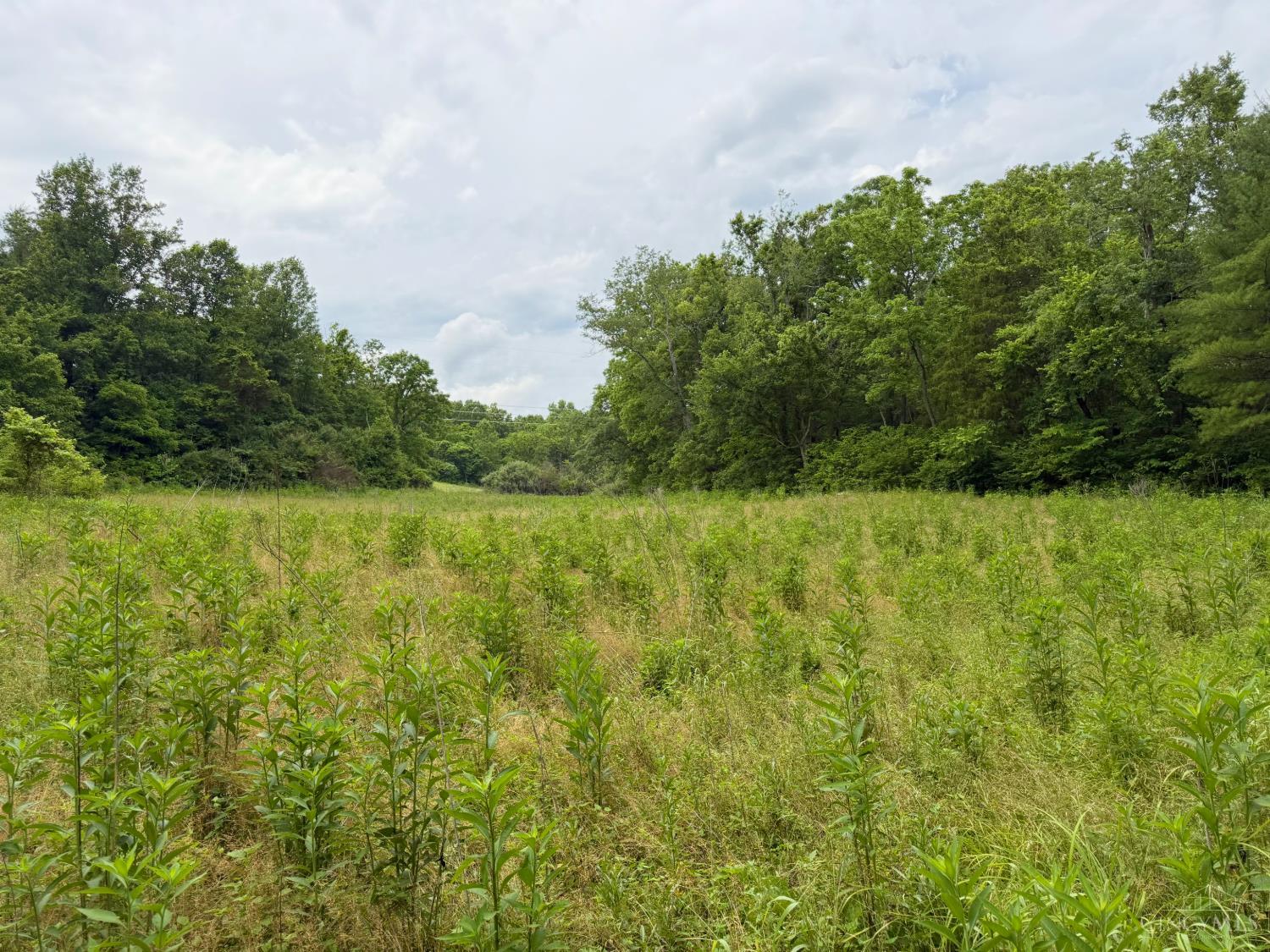 Falls Road, Paint Twp, OH, 45612 — photo 15