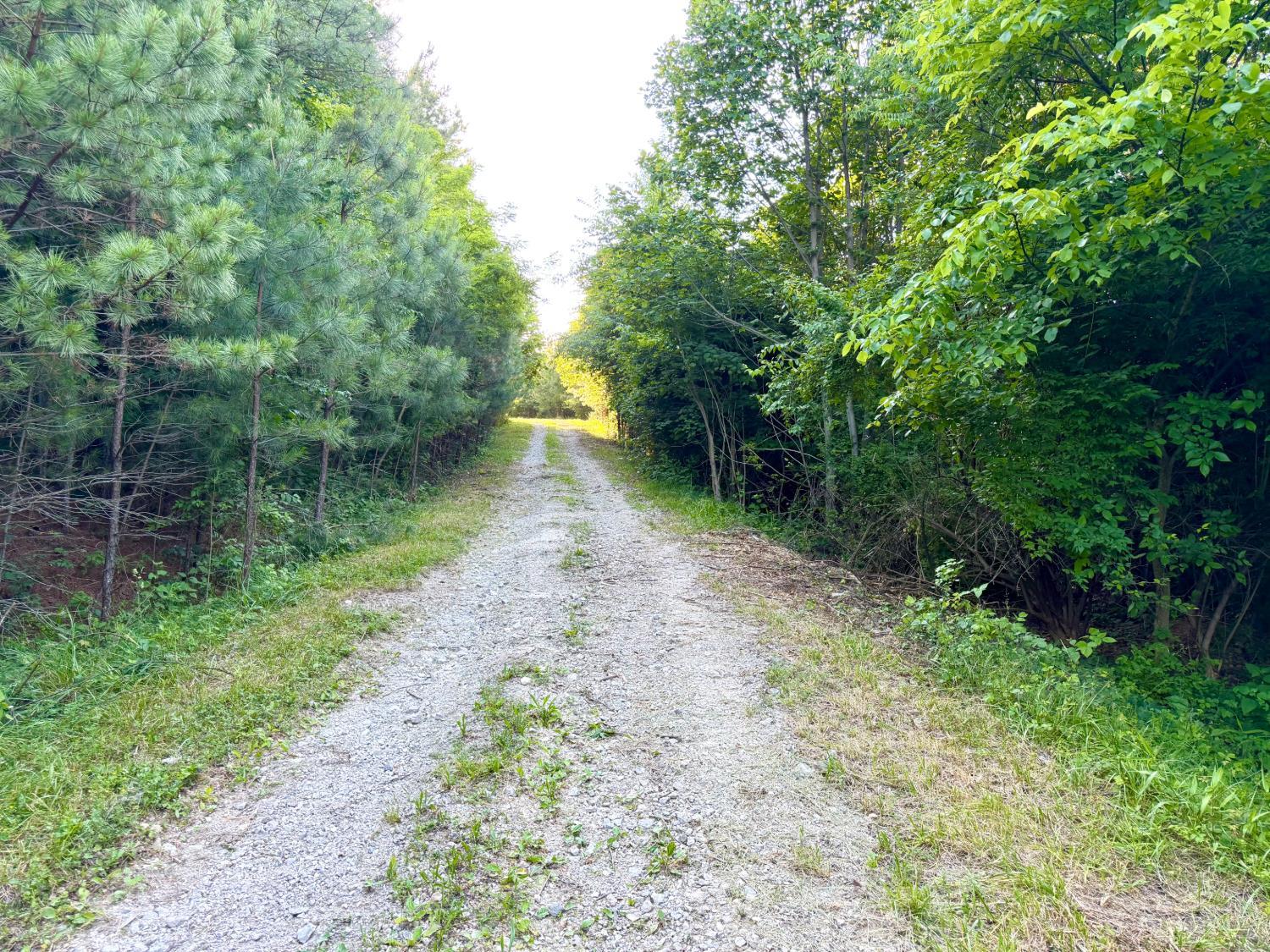 Falls Road, Paint Twp, OH, 45612 — photo 55