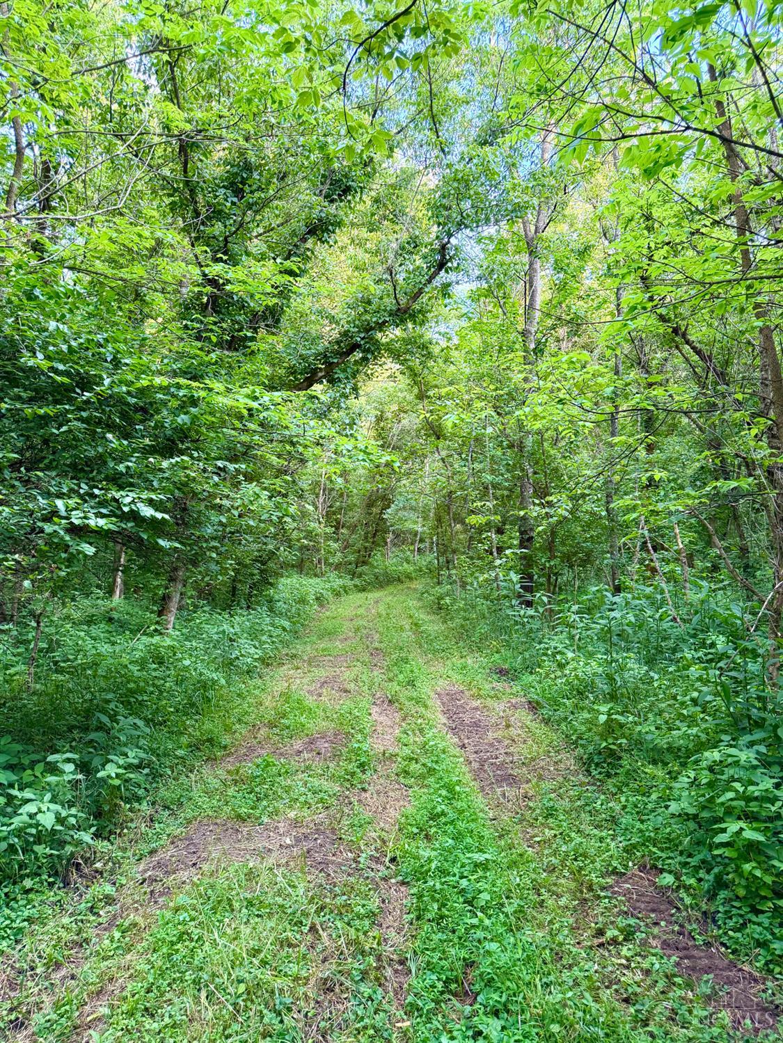 Falls Road, Paint Twp, OH, 45612 — photo 86