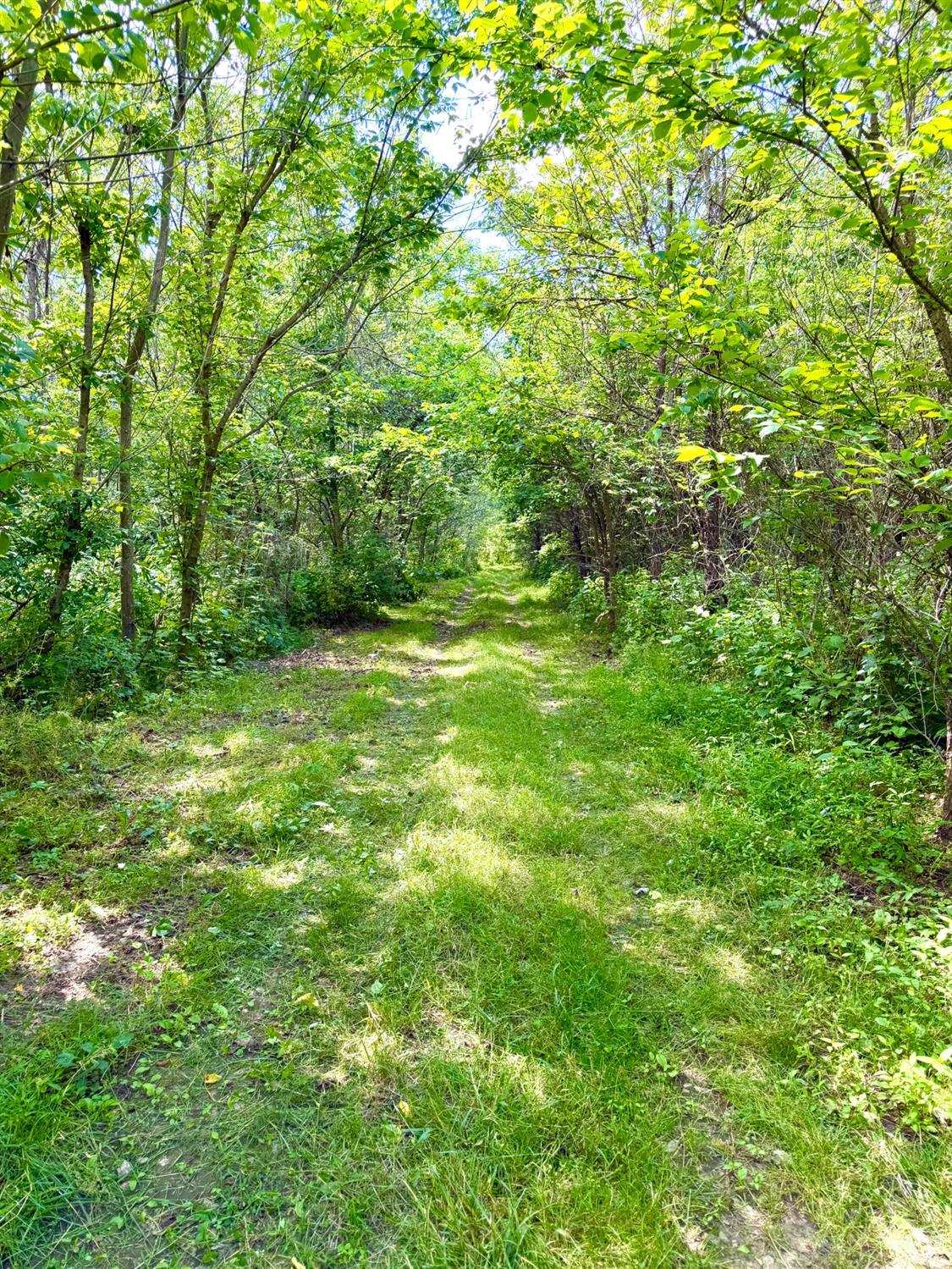 Falls Road, Paint Twp, OH, 45612 — photo 20