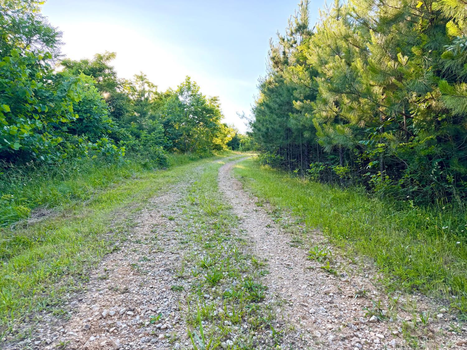 Falls Road, Paint Twp, OH, 45612 — photo 12