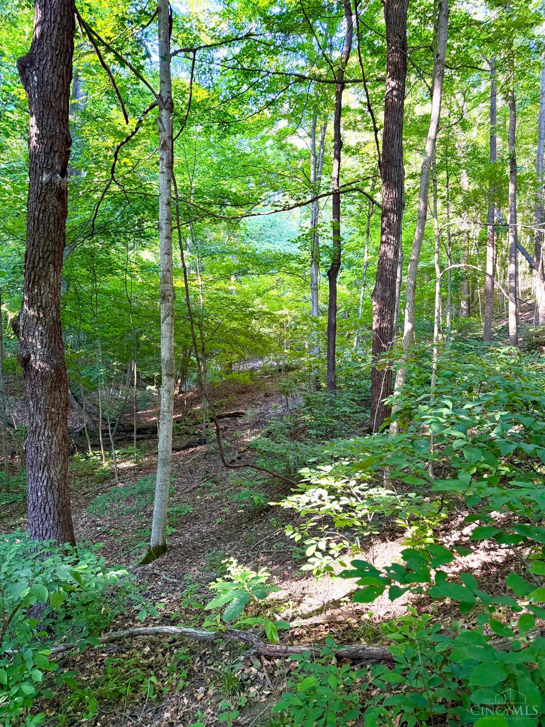 Falls Road, Paint Twp, OH, 45612 — photo 46
