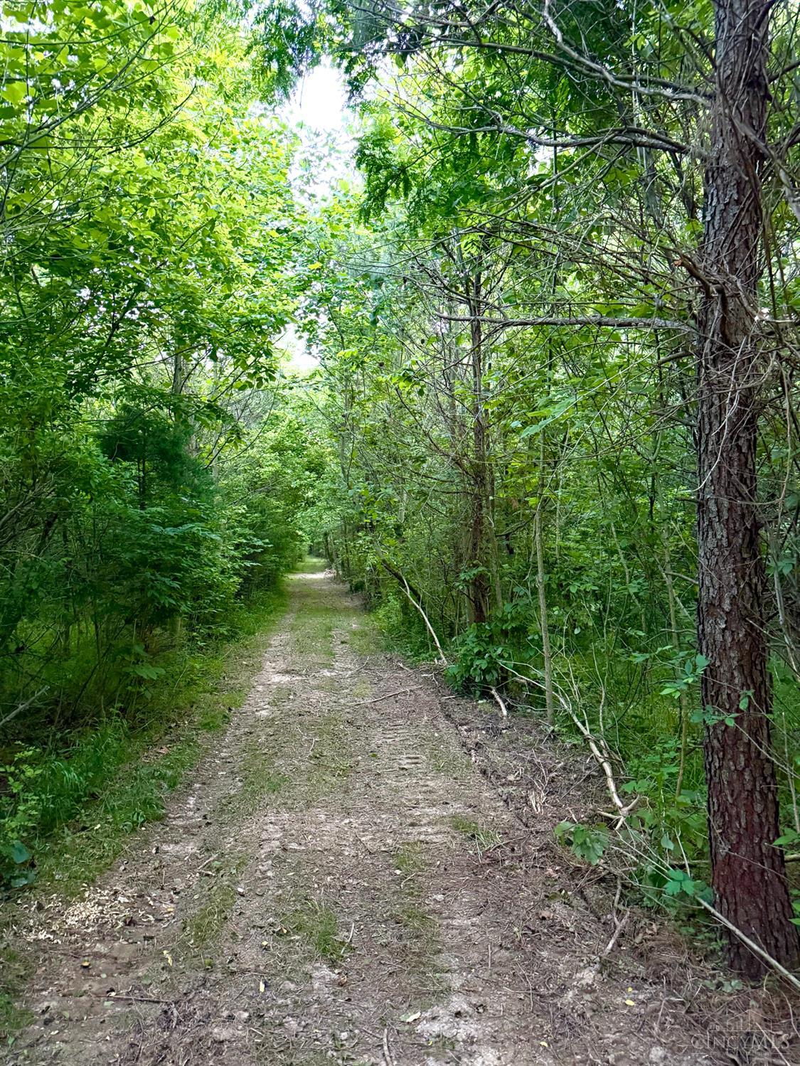 Falls Road, Paint Twp, OH, 45612 — photo 70