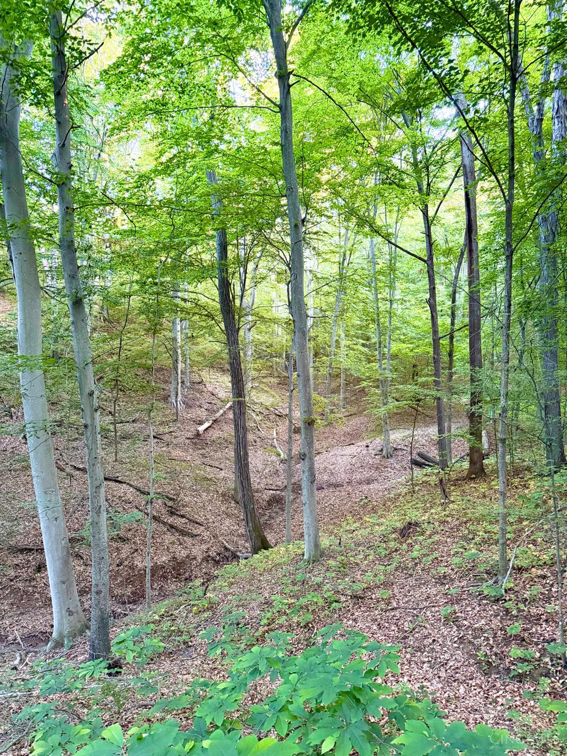 Falls Road, Paint Twp, OH, 45612 — photo 28