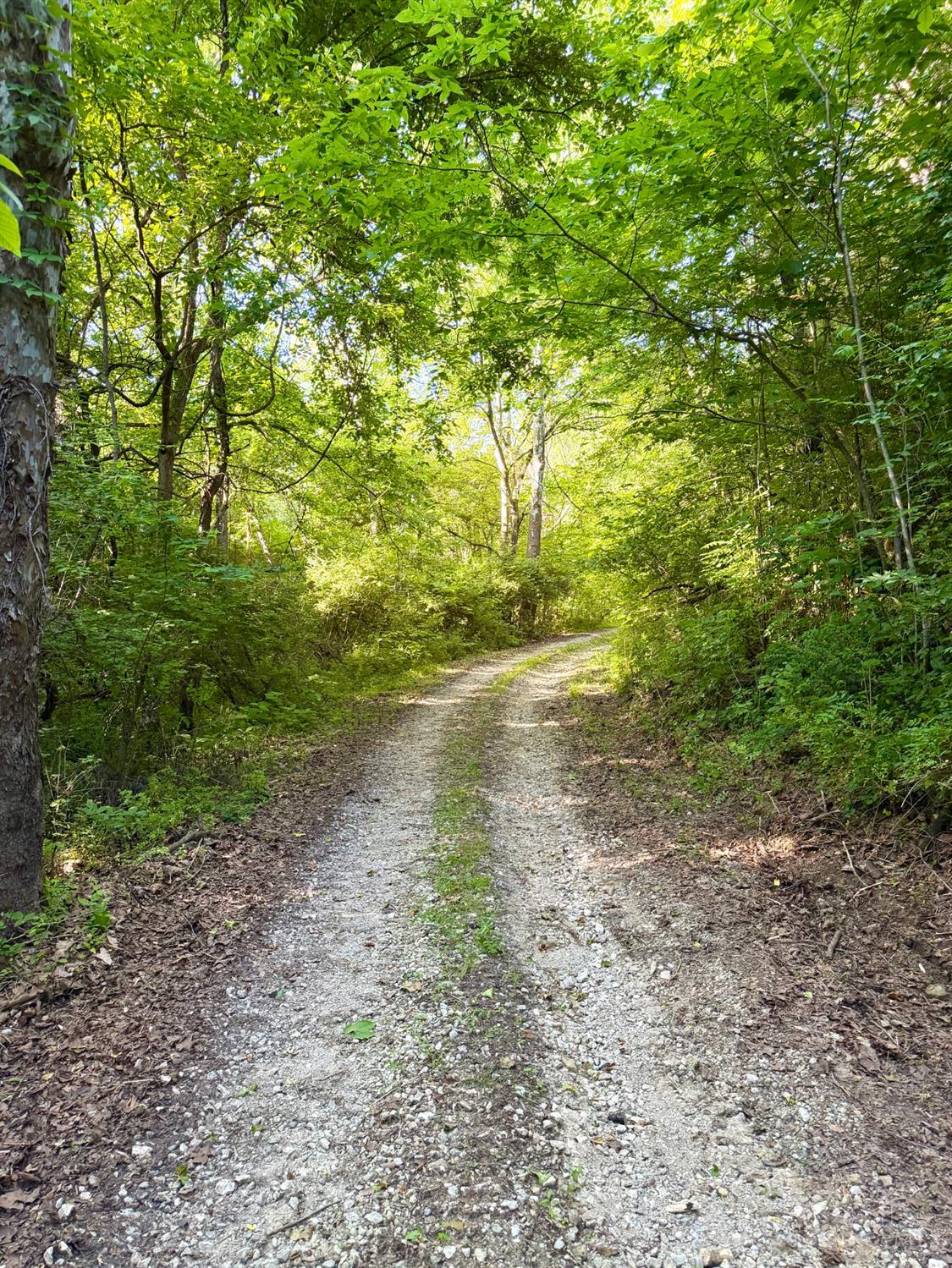 Falls Road, Paint Twp, OH, 45612 — photo 9