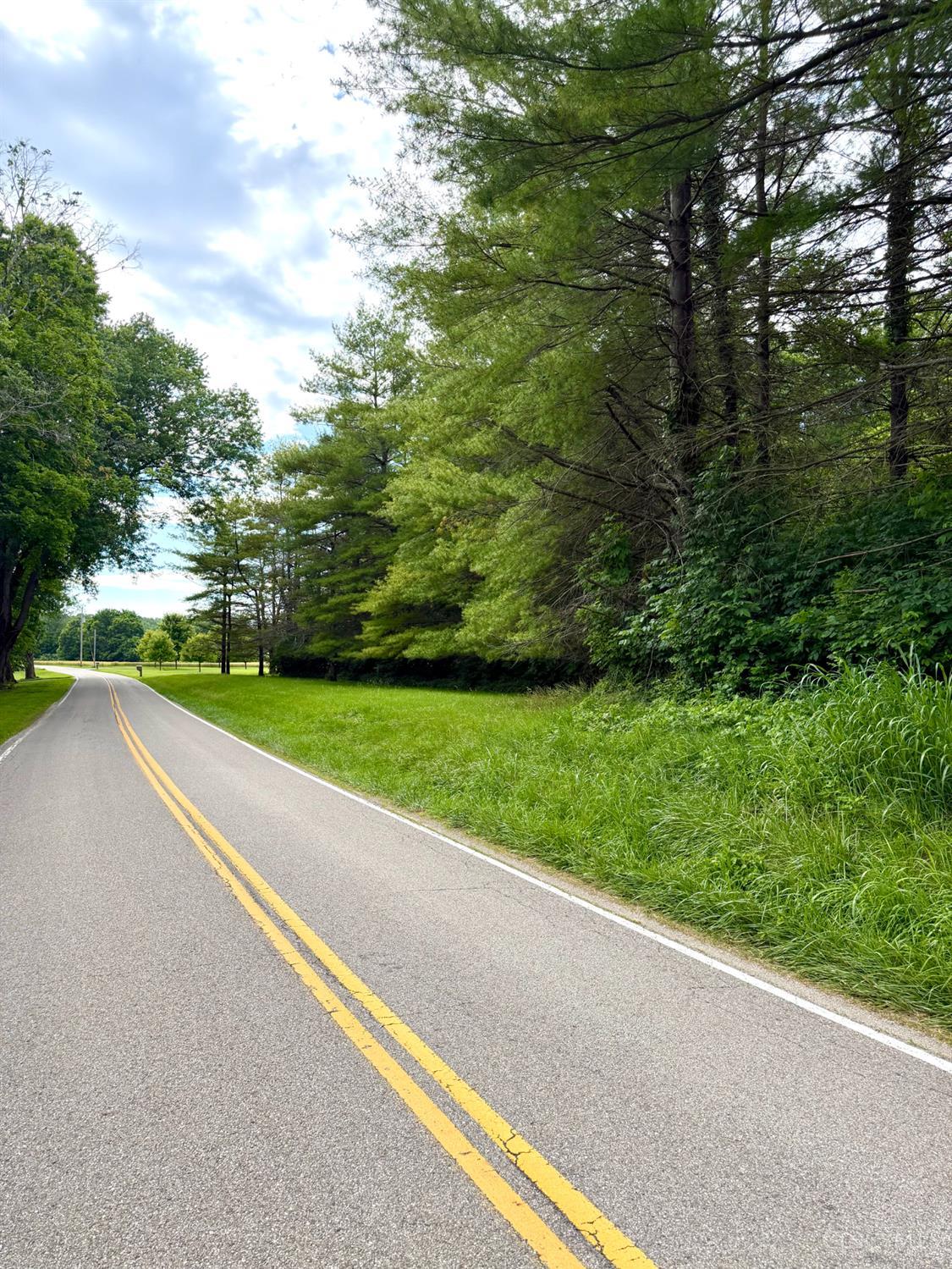 Falls Road, Paint Twp, OH, 45612 — photo 38