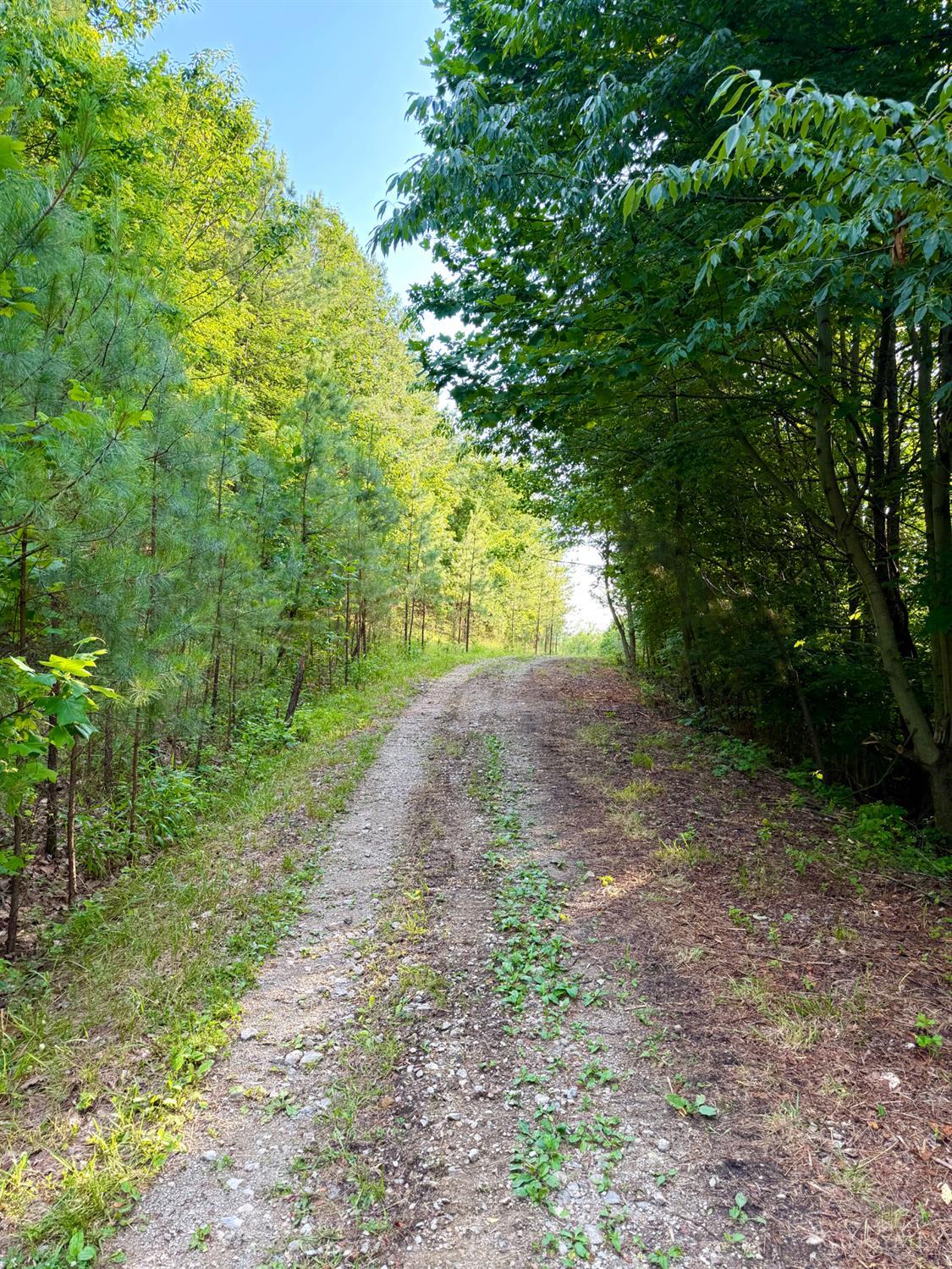 Falls Road, Paint Twp, OH, 45612 — photo 89