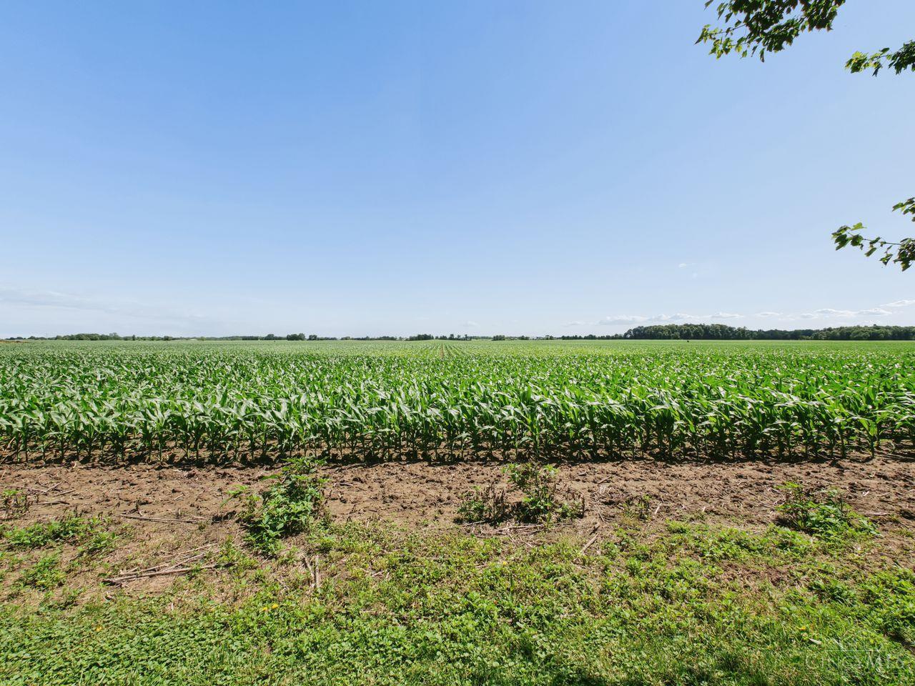 4048 State Road 252, Mt Carmel, IN, 47012 — photo 37