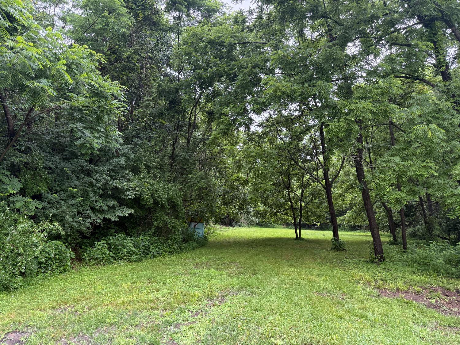 8225 Prospect Road, Washington Twp, OH, 45133 — photo 35