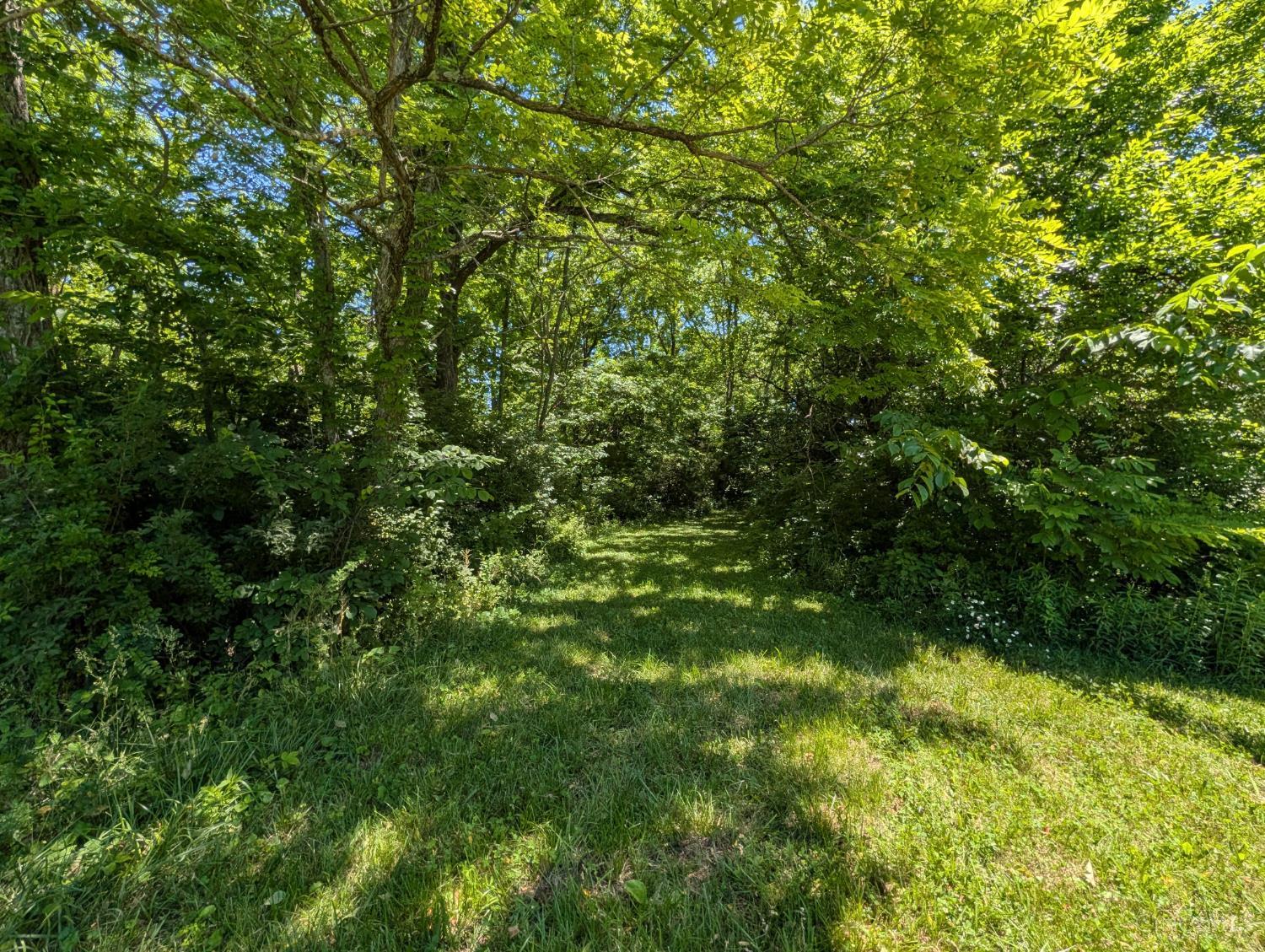 Acres State Route 232, New Richmond, OH, 45157 — photo 4