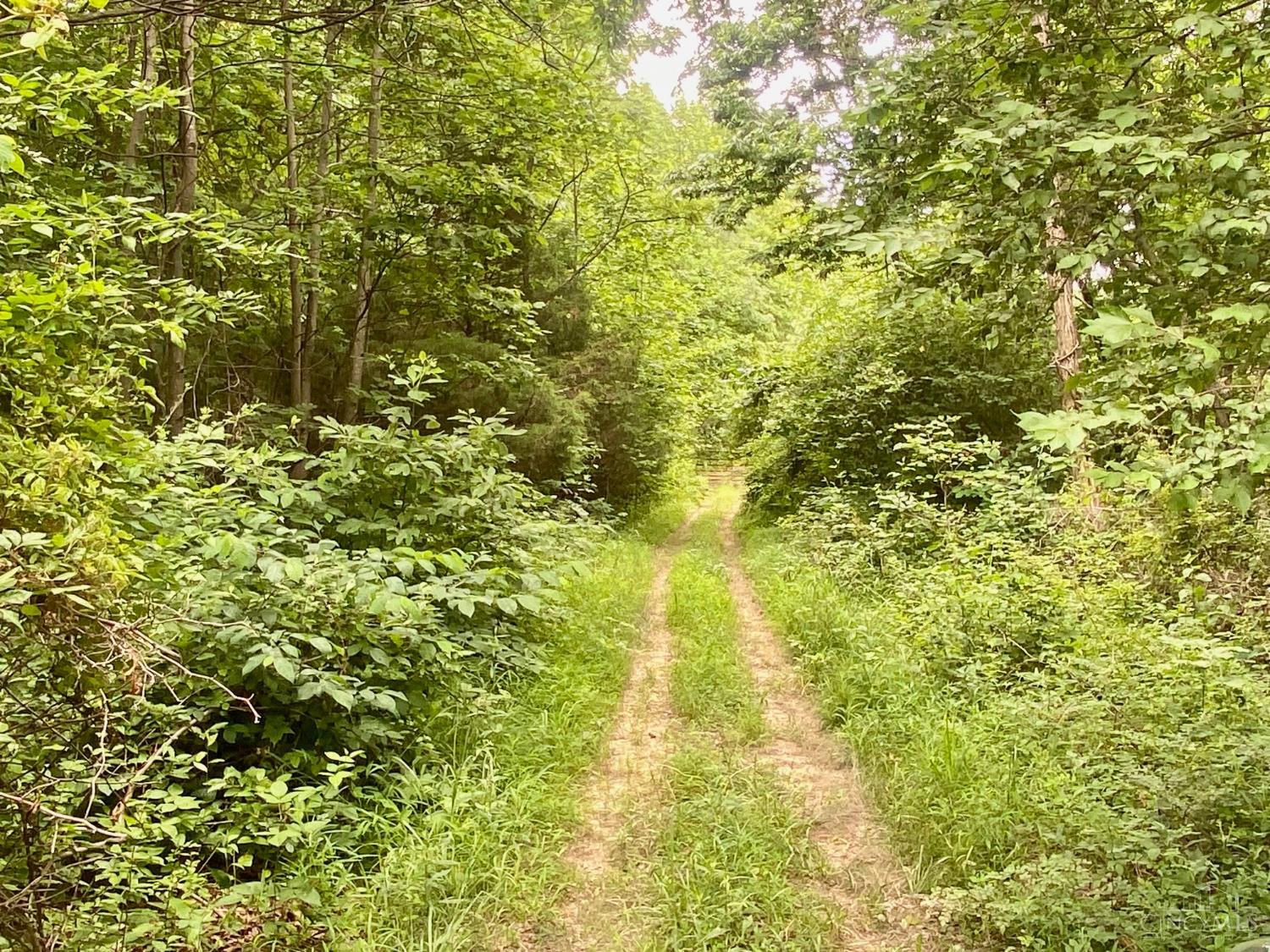 400 Lynn Morgan Road, Seaman, OH, 45679 — photo 8