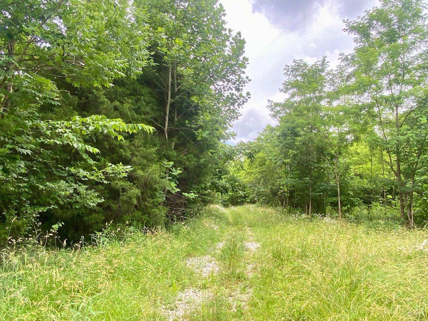 400 Lynn Morgan Road, Seaman, OH, 45679 — photo 6