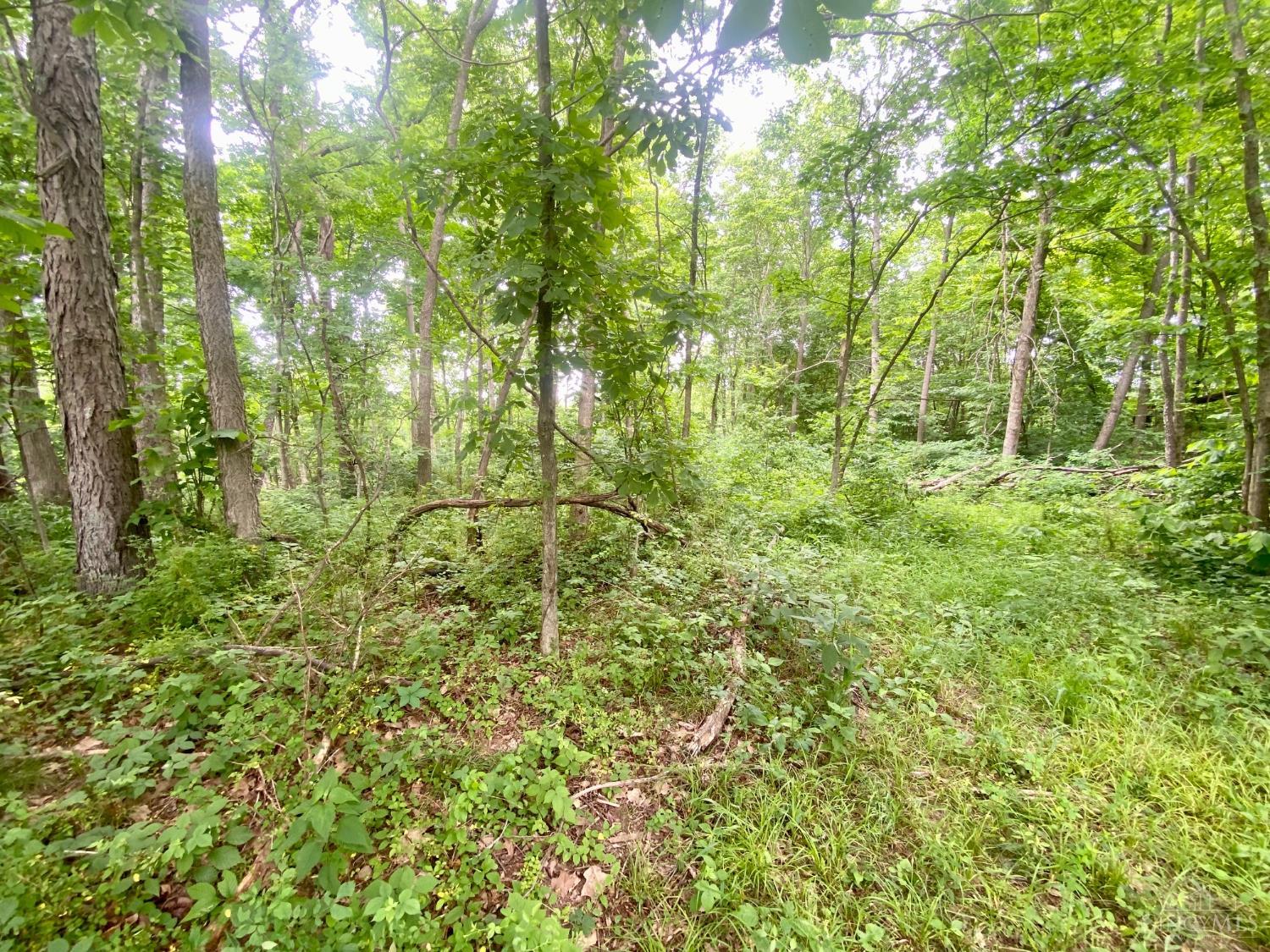 400 Lynn Morgan Road, Seaman, OH, 45679 — photo 9